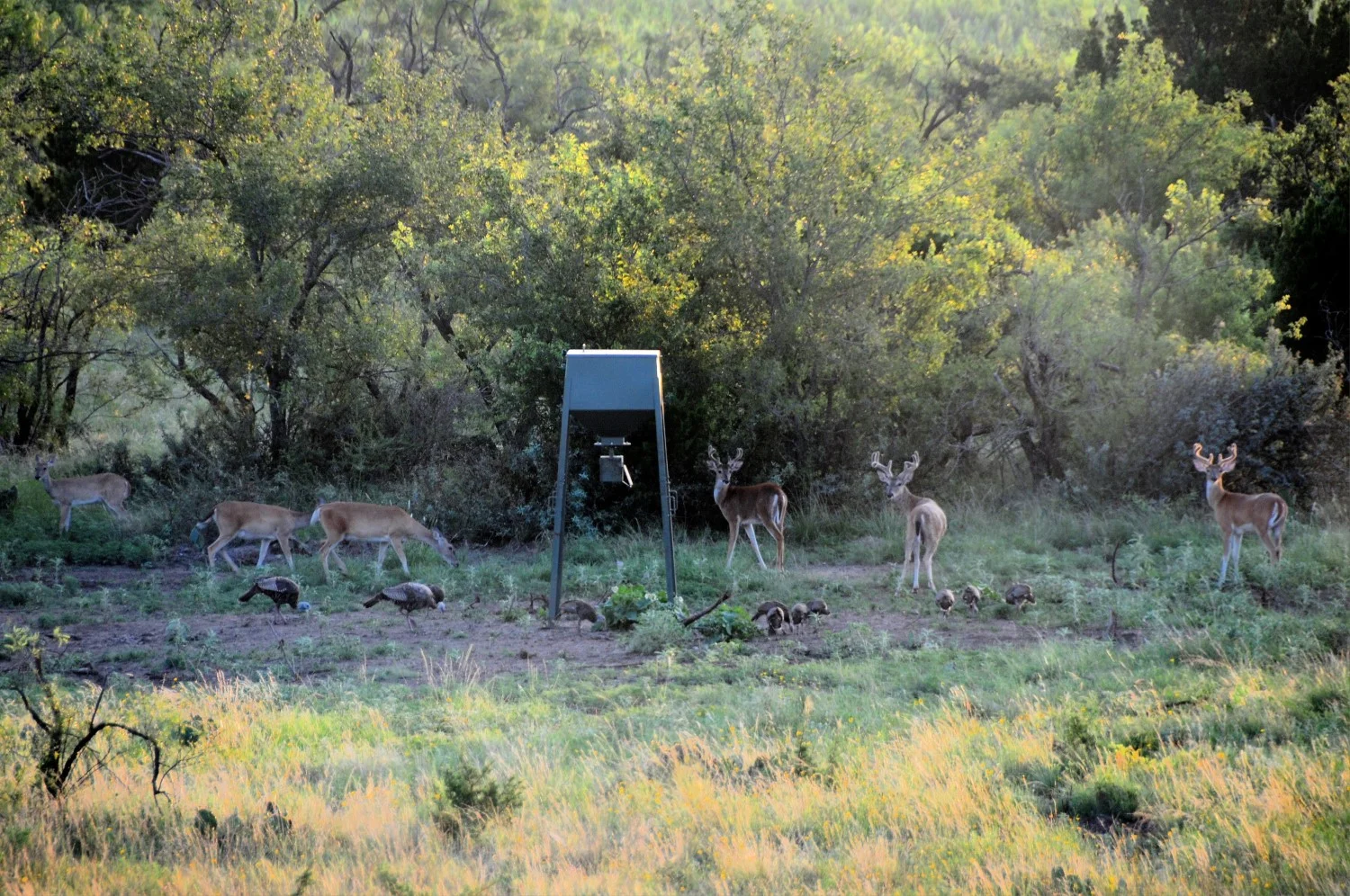 2100 Acres, Concho County — Landmark Properties