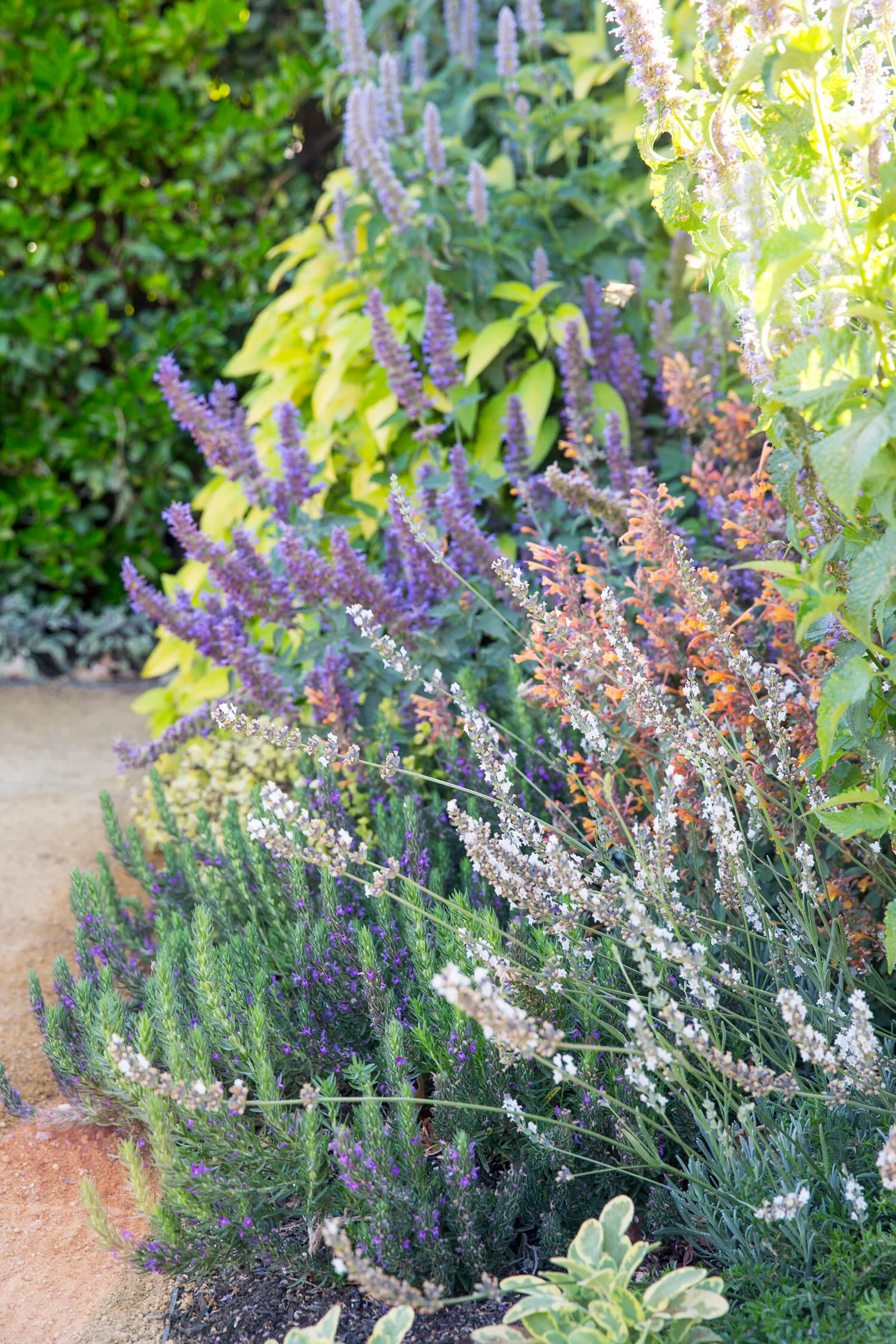 Sunset Magazine’s Test Garden — Homestead Design Collective