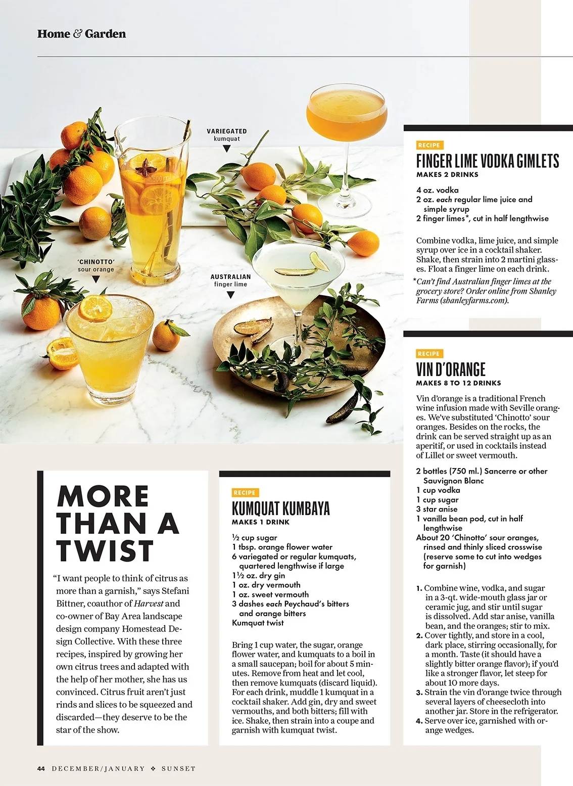 Stefani mixes up merry + bright citrus-centered cocktails inspired by her winter garden