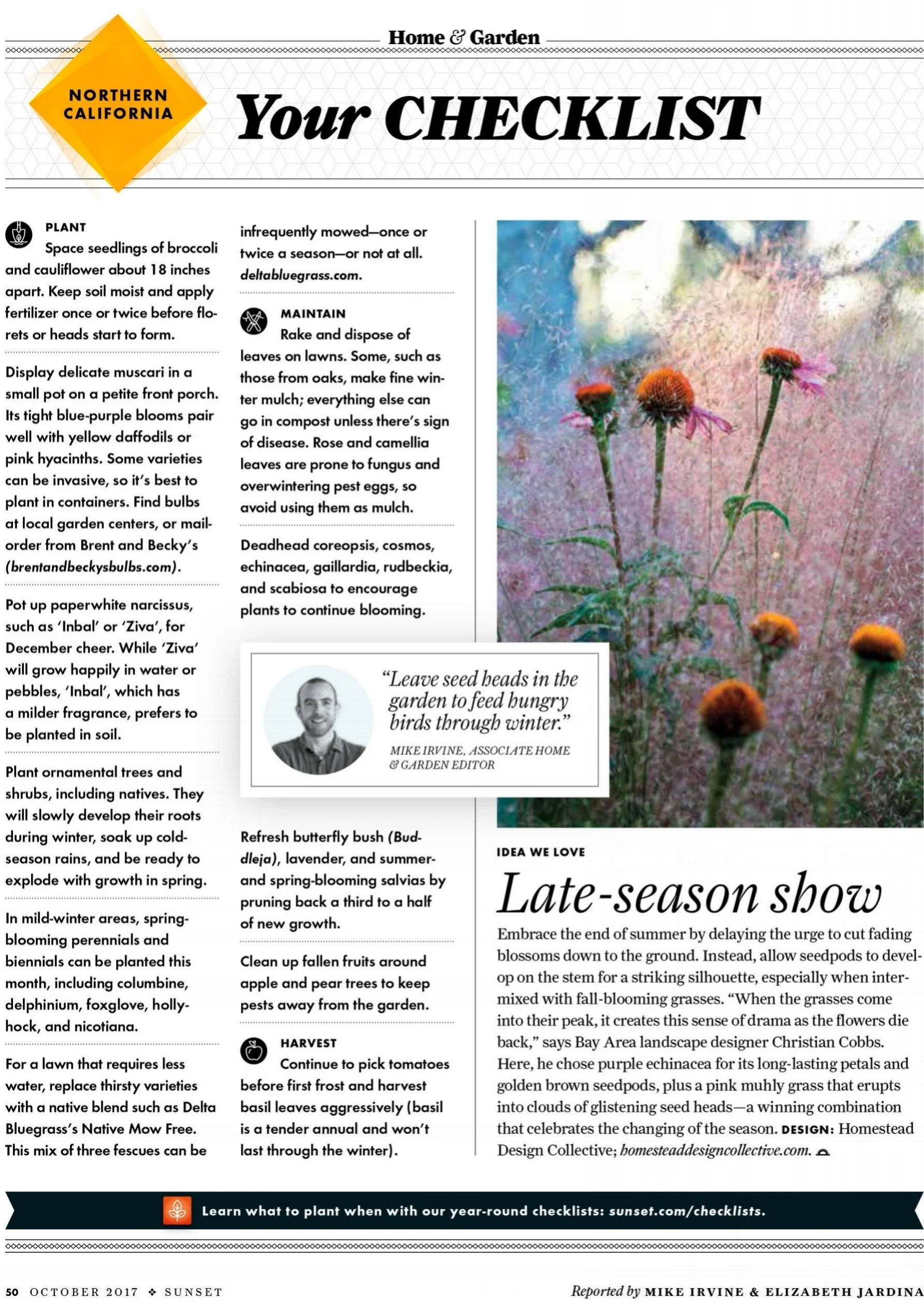 Lead Designer Christian Cobbs advises on how to cultivate a sense of drama in the late summer garden
