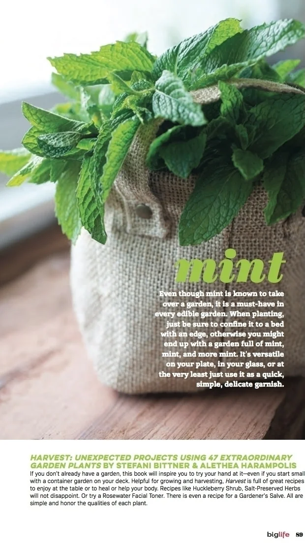 Big Life Magazine features Harvest and its recipe for a summery lavender & mint tea straight from the garden