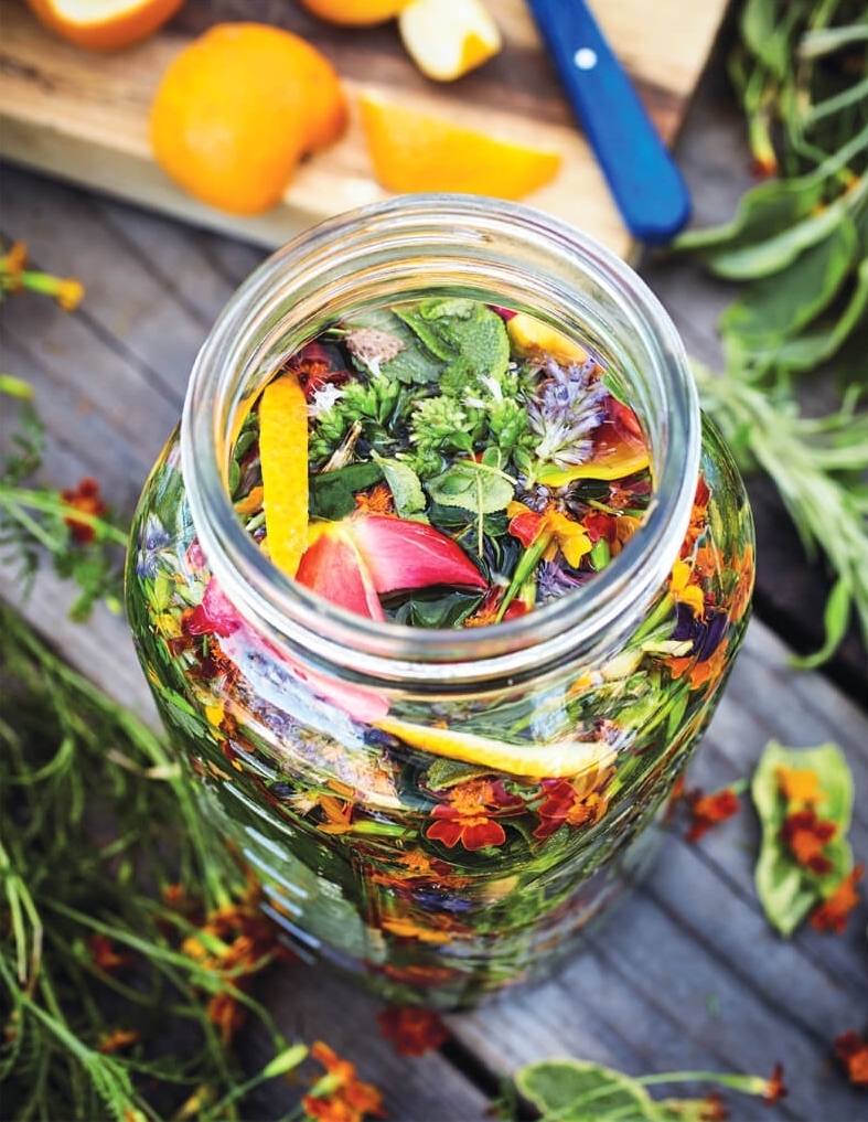 Stefani sits down with Good Life Guy to talk about preserving moments of abundance in the garden + the beauty of garden-infused booze