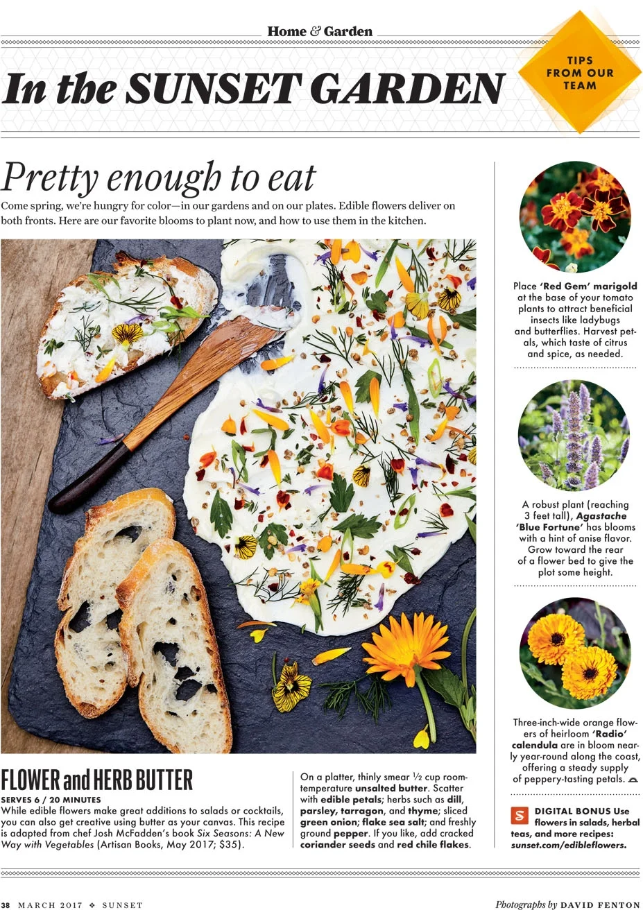 homestead filled the sunset magazine test gardens with flowers that are as scrumptious as they are striking