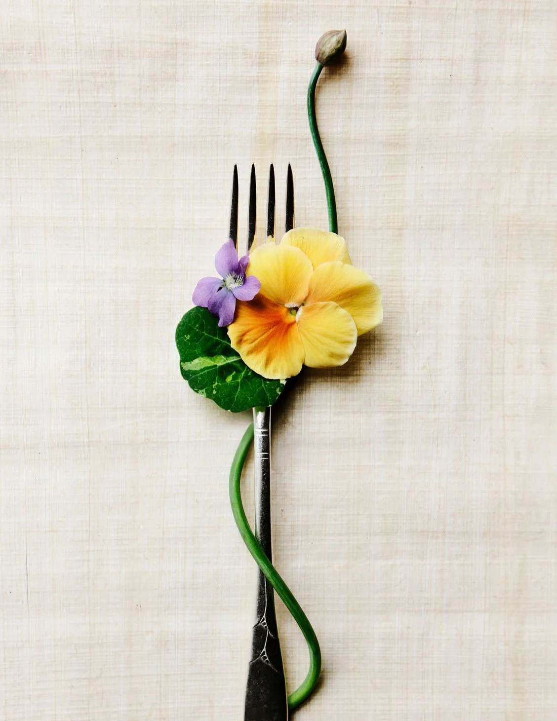 Vogue explores the health benefits + edible applications of five of Stefani and Alethea's favorite delicious flowers