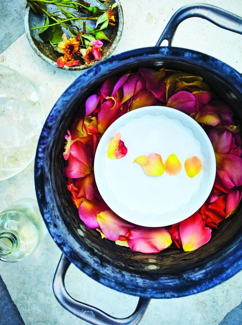 Harvest's Two-Ingredient Rosewater Facial Toner recipe showcased in Well + Good