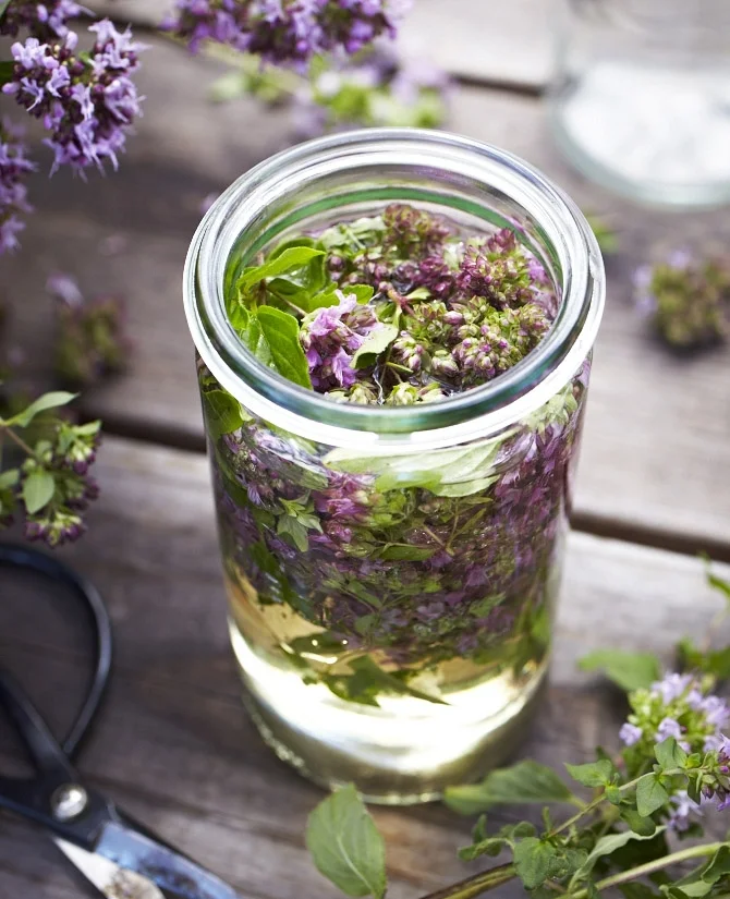 Mind Body Green features Harvest's recipe for immune-boosting Oregano Flower-Infused Vinegar