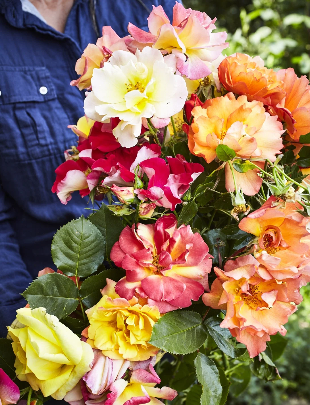 Stefani and Alethea sit down with Pacific Horticulture Society to discuss the centerpieces of their work; beauty, food, and awareness