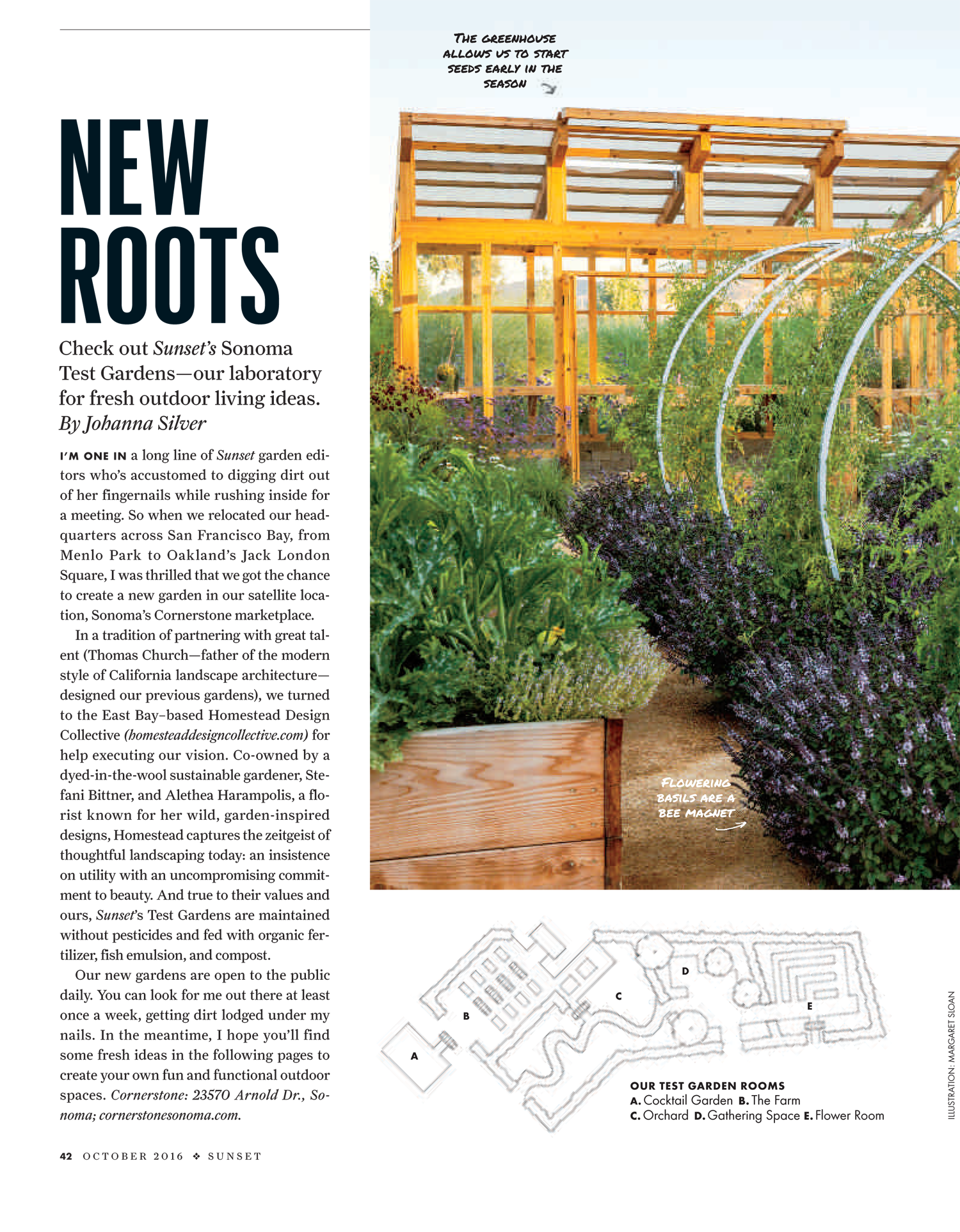 Sunset Magazine showcases its new Sonoma Test Gardens, designed and maintained by the Homestead Design Collective team