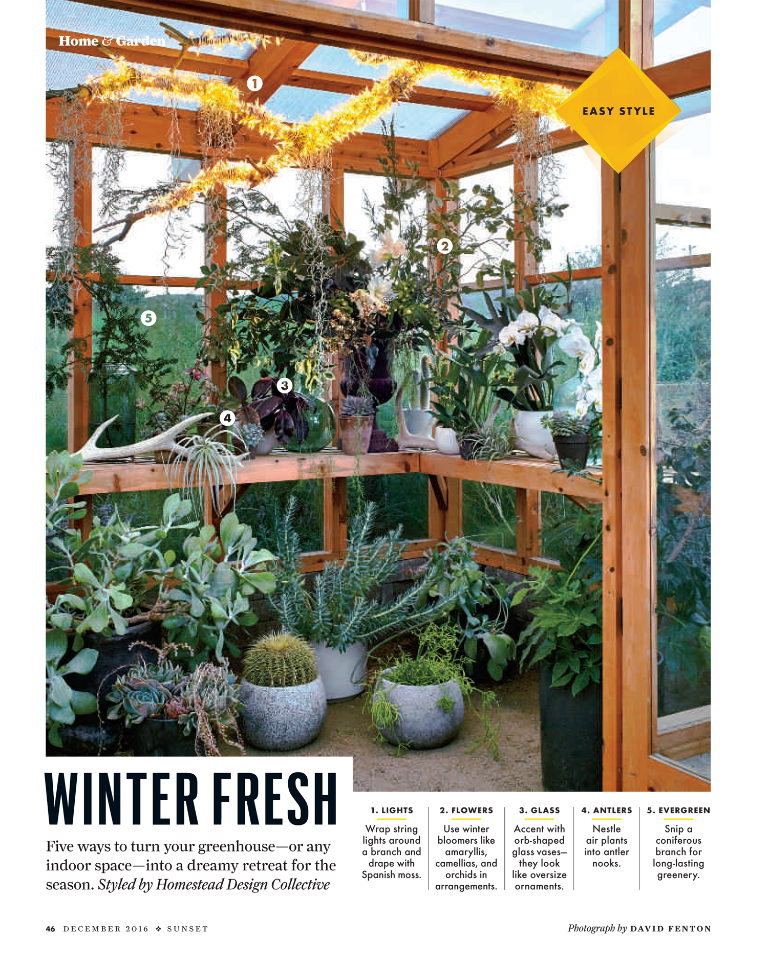 Homestead takes a fresh approach to transforming indoor spaces this winter