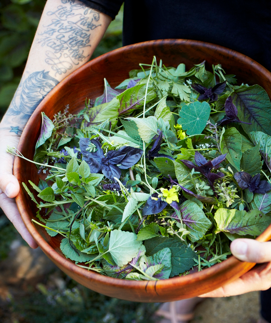 Homestead featured in October’s Beyond Alaska magazine