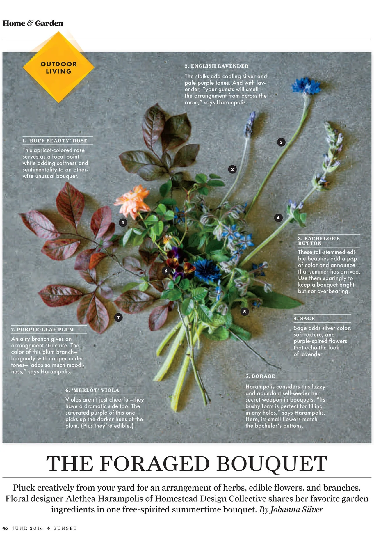 Alethea Harampolis reveals her favorite ingredients for a free-spirited bouquet foraged from the garden
