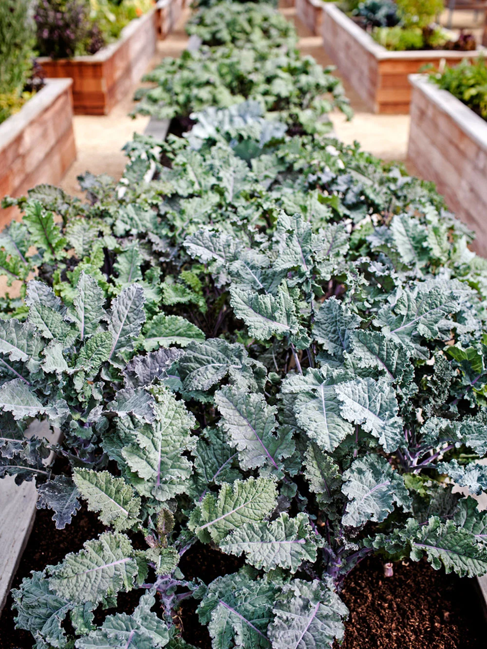 download (2).jpg