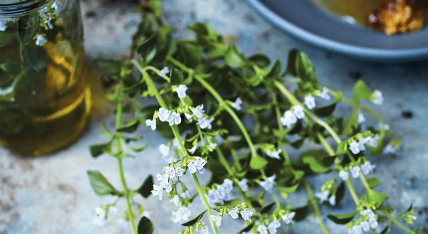 Your garden is the key to making your own natural beauty products