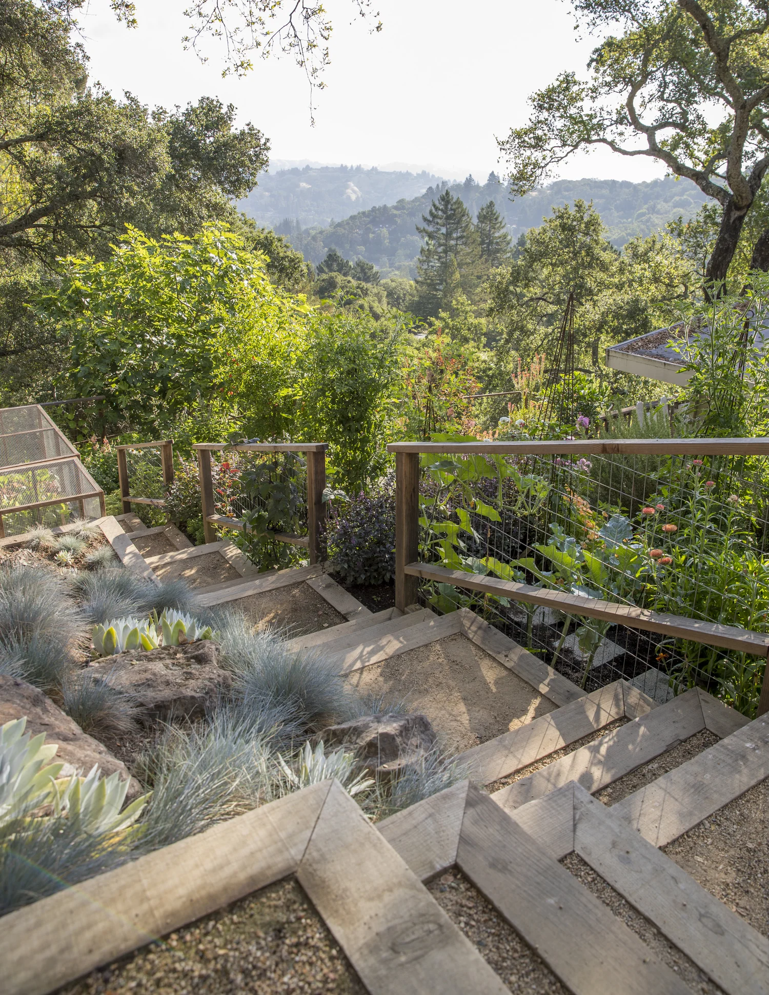 Hillside Garden — Homestead Design Collective