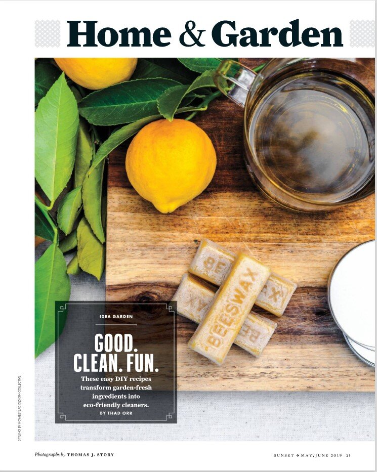 Easy DIY recipes for natural cleaners using ingredients from the garden