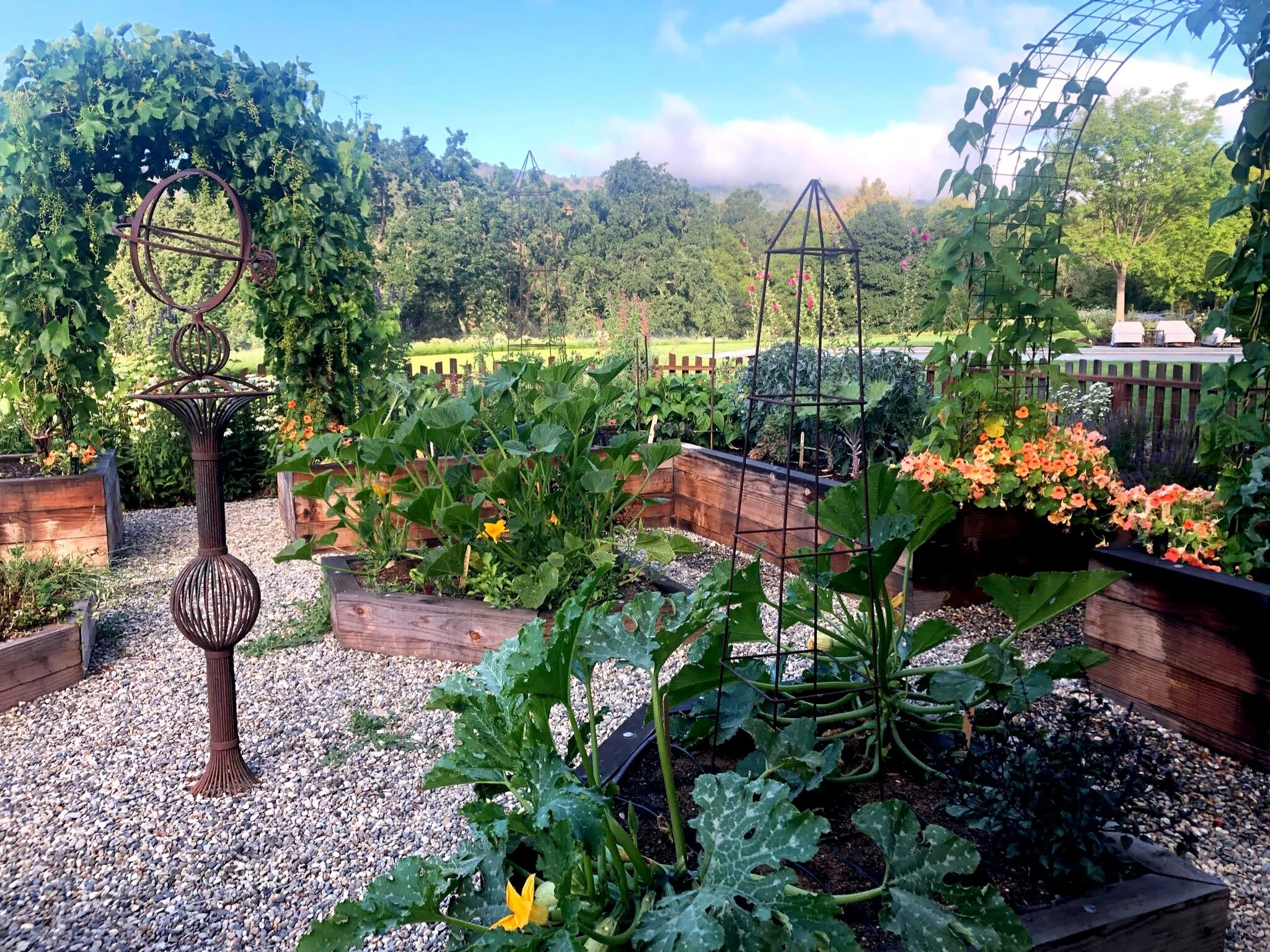 Edible Gardens — Homestead Design Collective