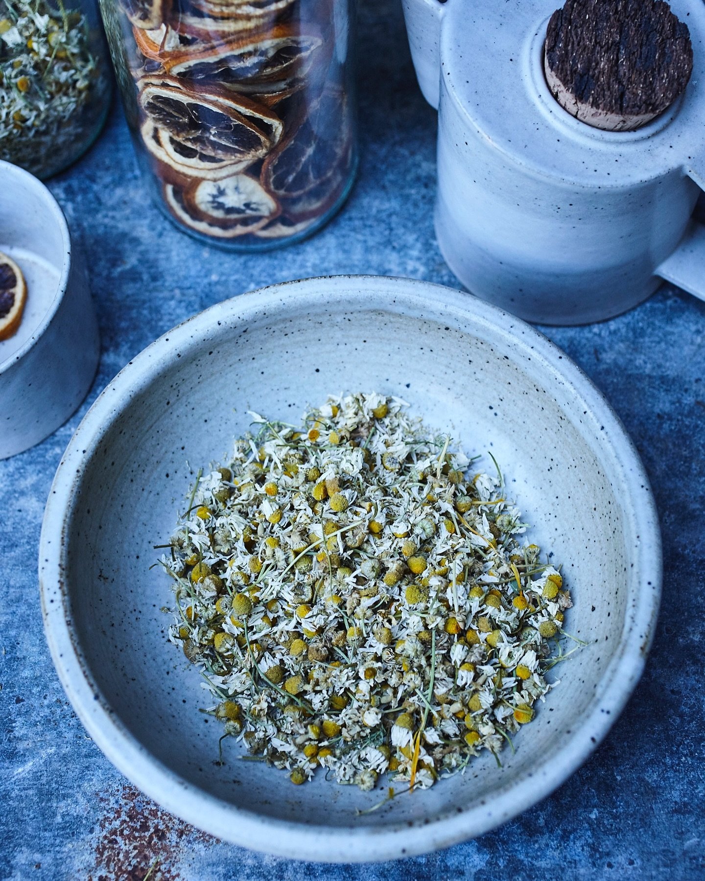 The fragrance of chamomile conveys a homey, cozy feeling and its unique scent is instantly recognizable. In the garden, German chamomile prefers the cooler weather of spring &amp; fall. Plant now for late spring harvests for the tea pot &amp; vase. 
