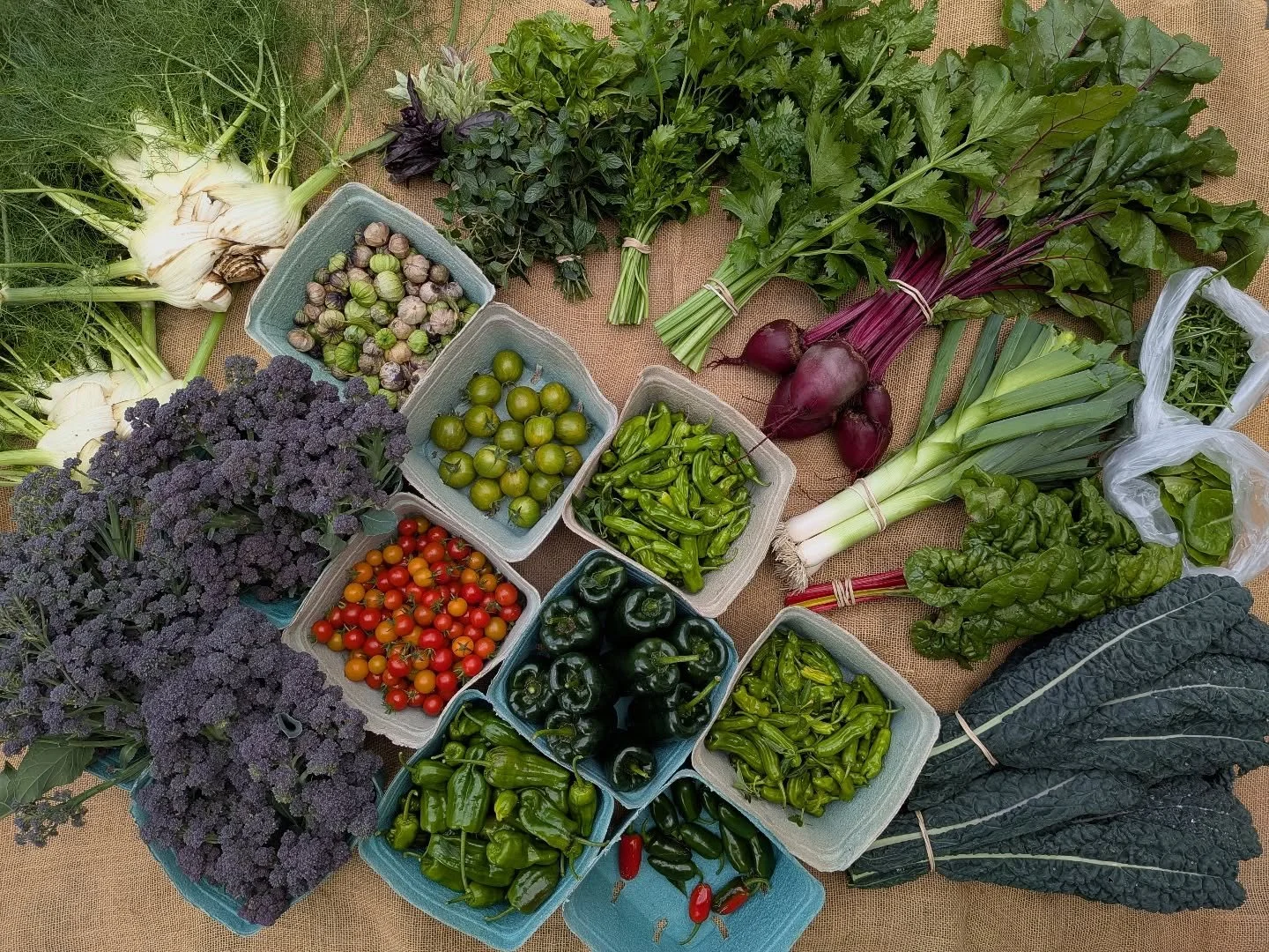 Beautiful bounty from this week’s harvest at our Oakland Hills project💜