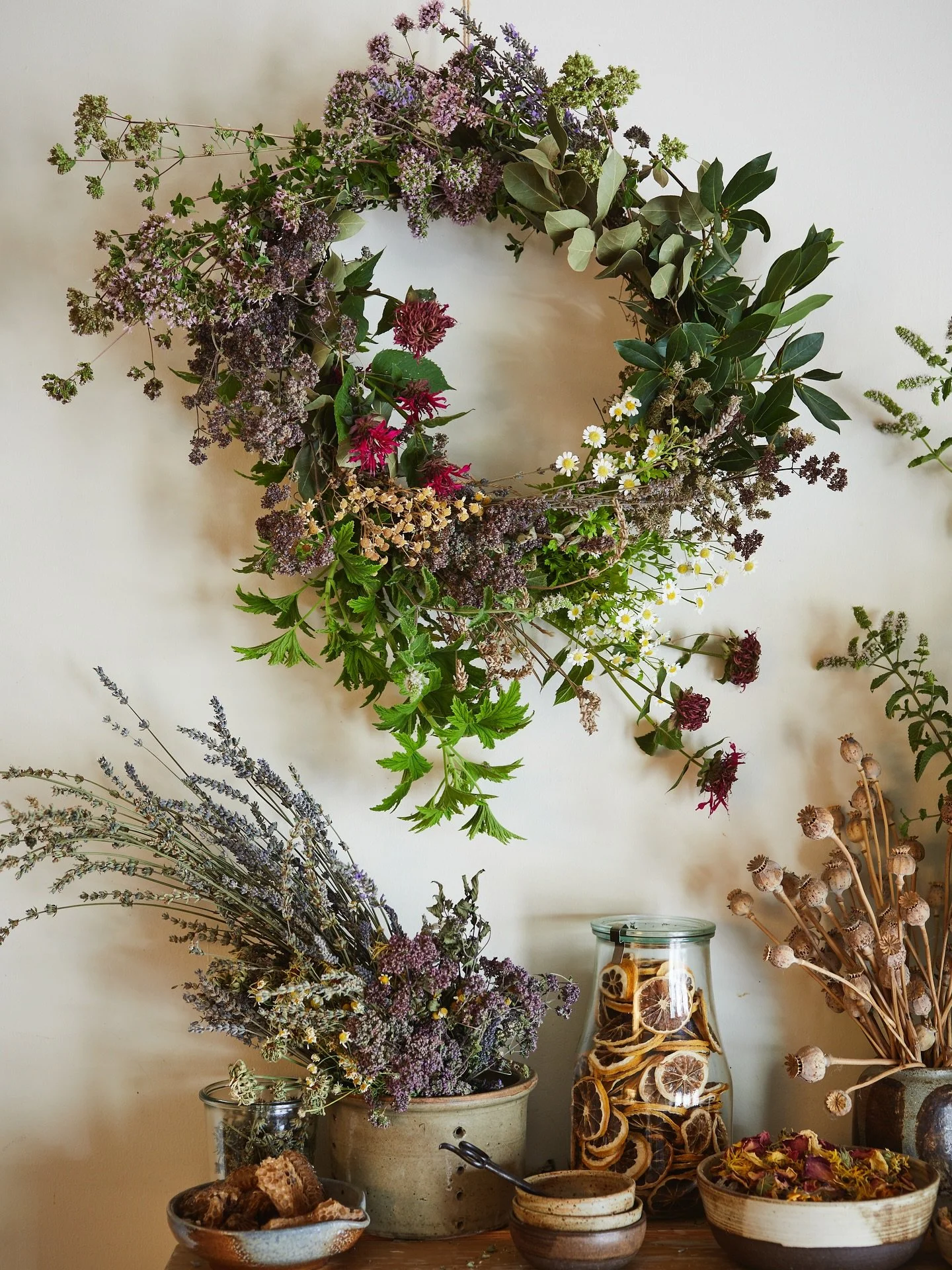 We&rsquo;re wrapping up our 2025 classes this Saturday with a festive Herbal Holiday Wreath workshop at Morningsun Herb Farm! 🌿✨
Explore the fragrant world of culinary and tea herbs while crafting a unique wreath perfect for holiday d&eacute;cor or 