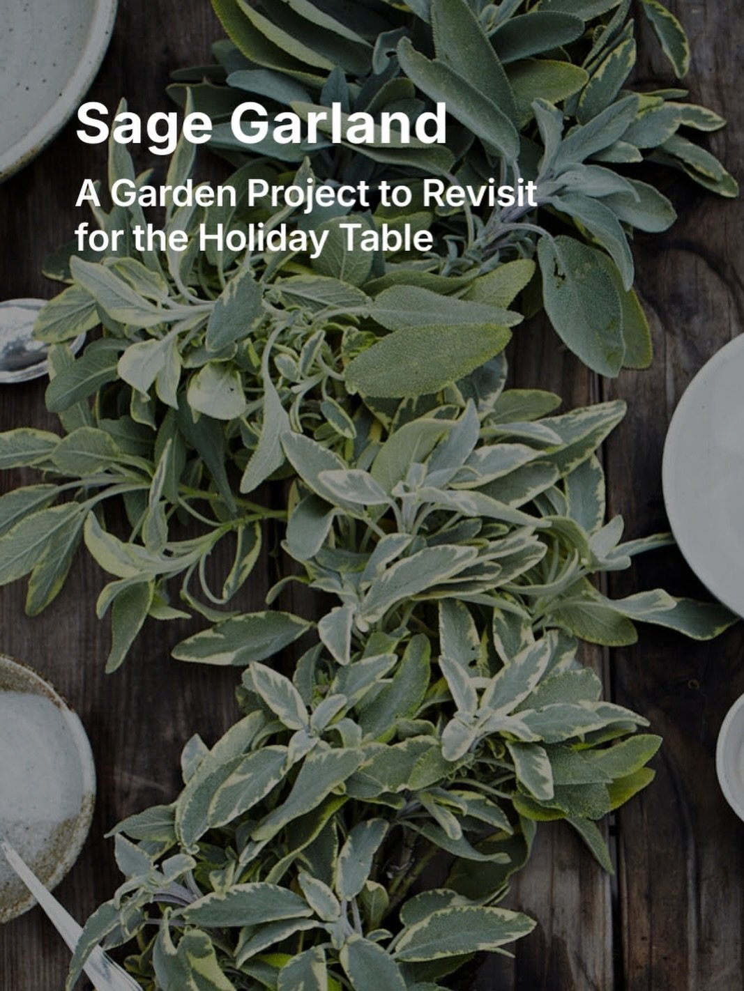 With Thanksgiving arriving tomorrow, you may be staring at your table and realizing it could use one last touch&mdash;something simple, beautiful, and grounded in the garden. So today felt like the perfect moment to revisit one of my favorite quick, 