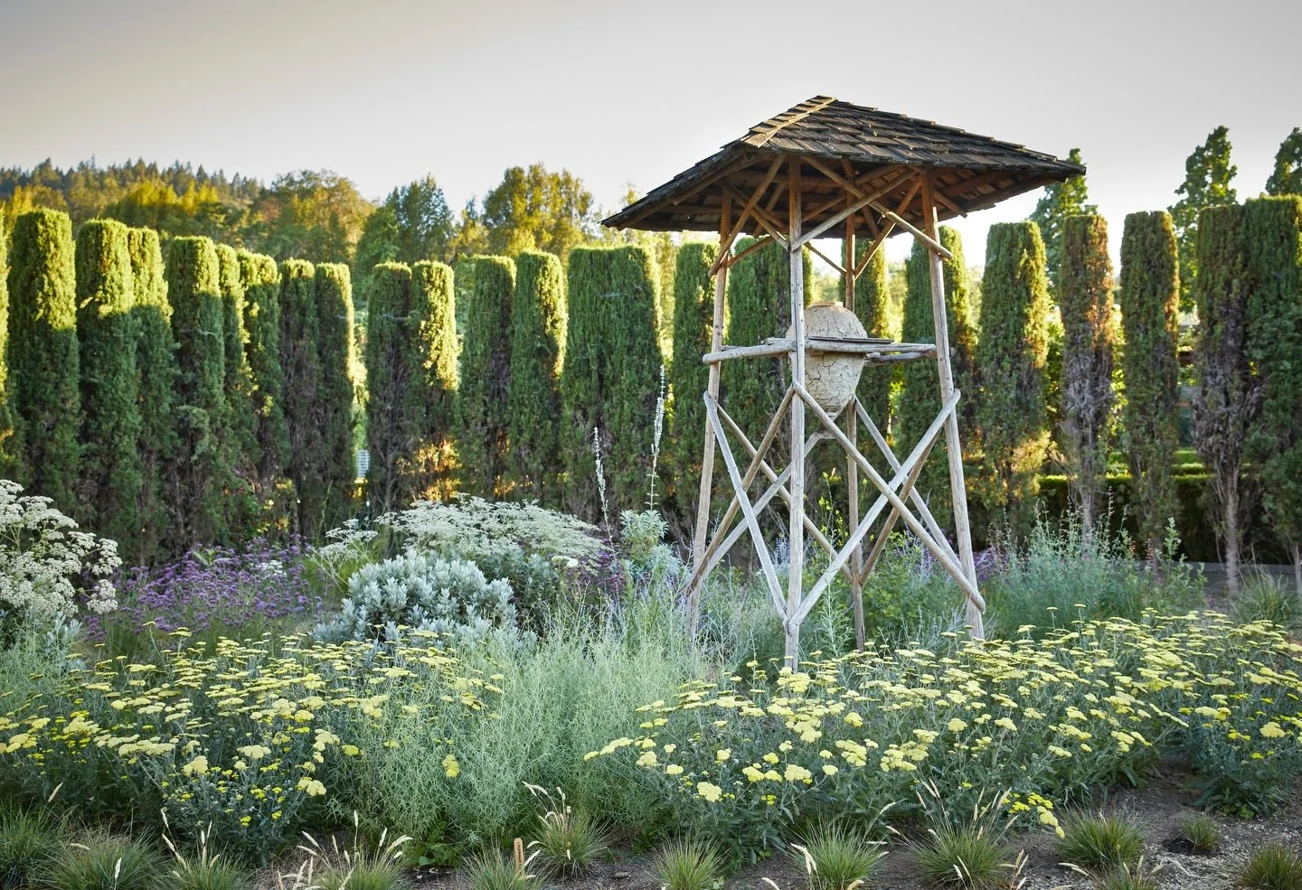 Make this the year you truly prioritize pollinators in your garden. Yarrow, buckwheat, verbena, Russian sage, and agastache are all beautiful, low-water plants that support bees, butterflies, and other beneficial pollinators&mdash;while adding beauty
