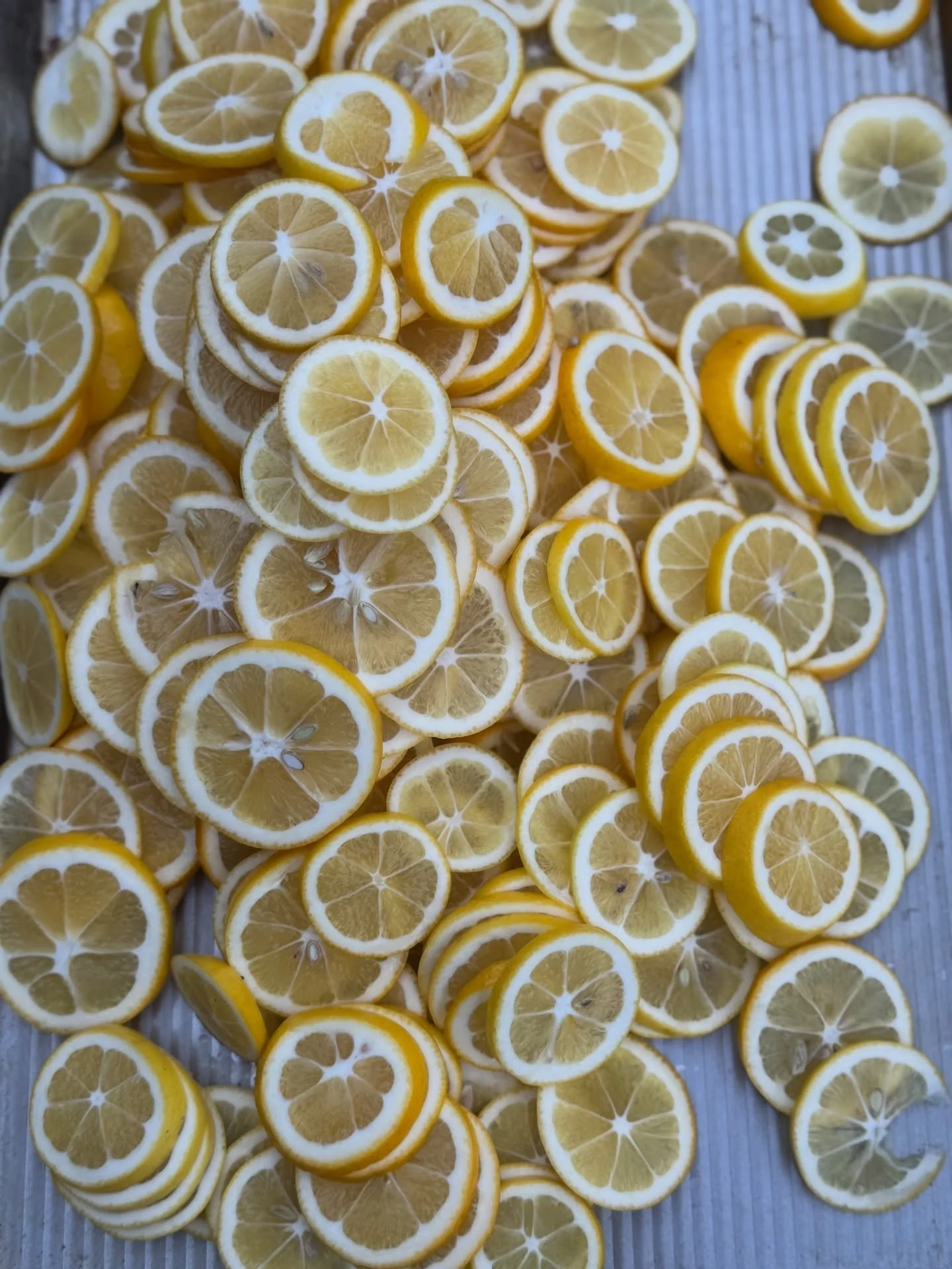 Bay Area folks, frost is in the forecast this weekend&mdash;perfect motivation to harvest and preserve your citrus now. After you&rsquo;ve had your fill of marmalade and lemon bars, try dehydrating the rest. Meyer lemon slices are headed to the dehyd