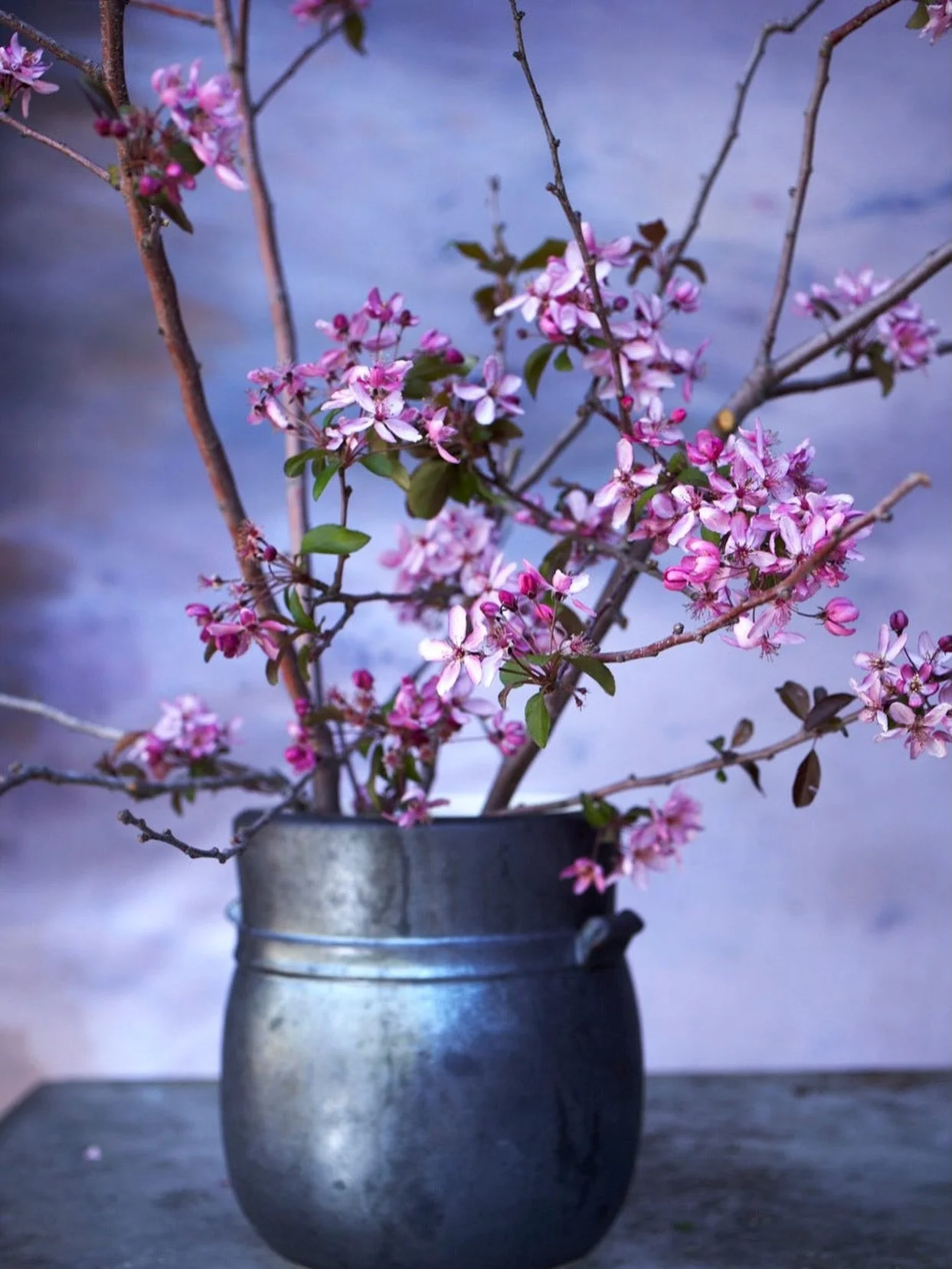 The thing about pruning fruit trees in a garden, instead of a farm, is that there are just fewer trees to prune in a garden and one can chose the time we prune to line up a bit more to when a fruit tree&rsquo;s flower buds have begun to form on our t