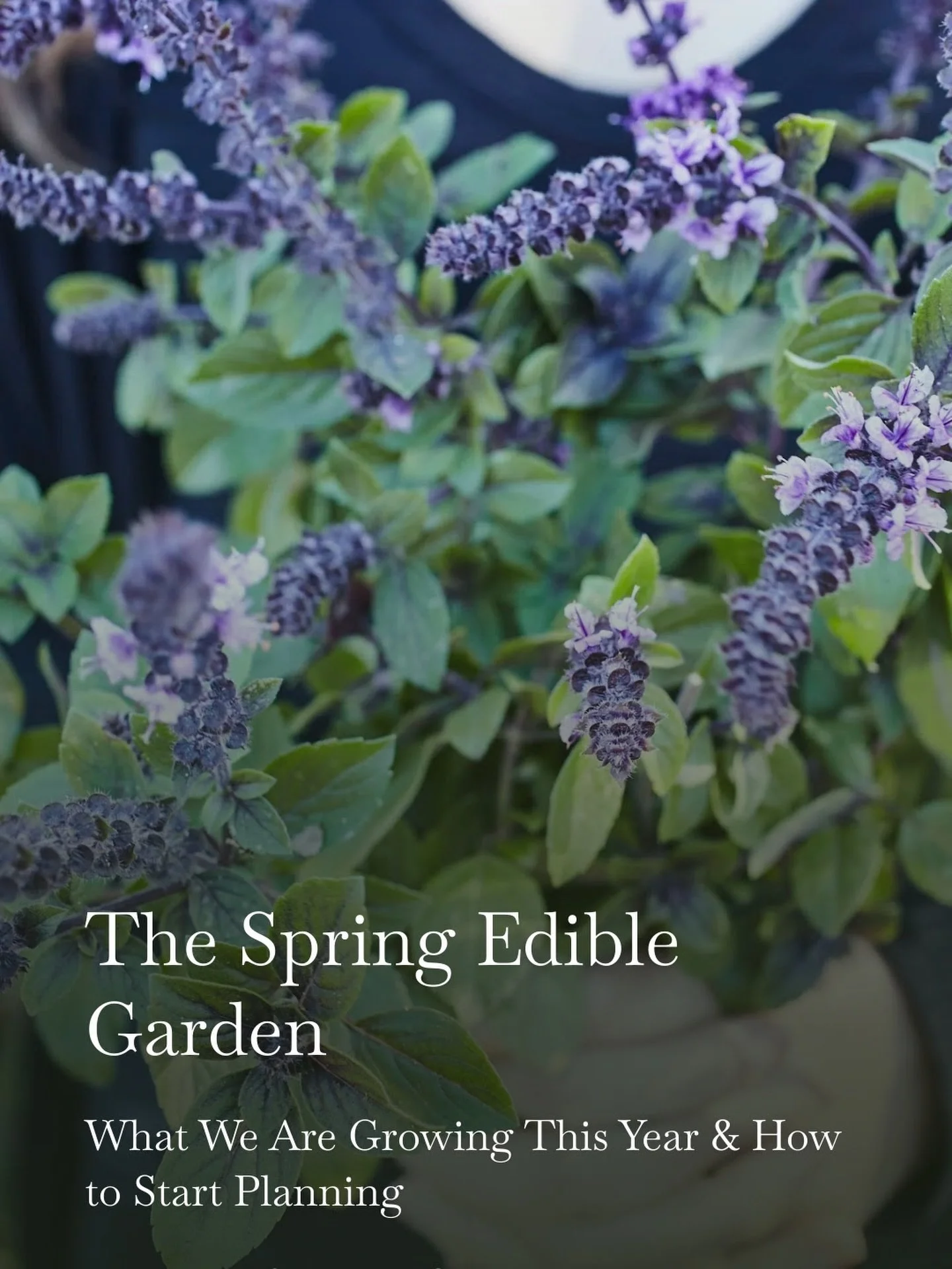 It&rsquo;s the time of year again to start dreaming and planning for your spring and summer garden and harvests. What are this year&rsquo;s vegetables? What are the flowers that will grace your tables? What can you plan to enjoy this spring and set t