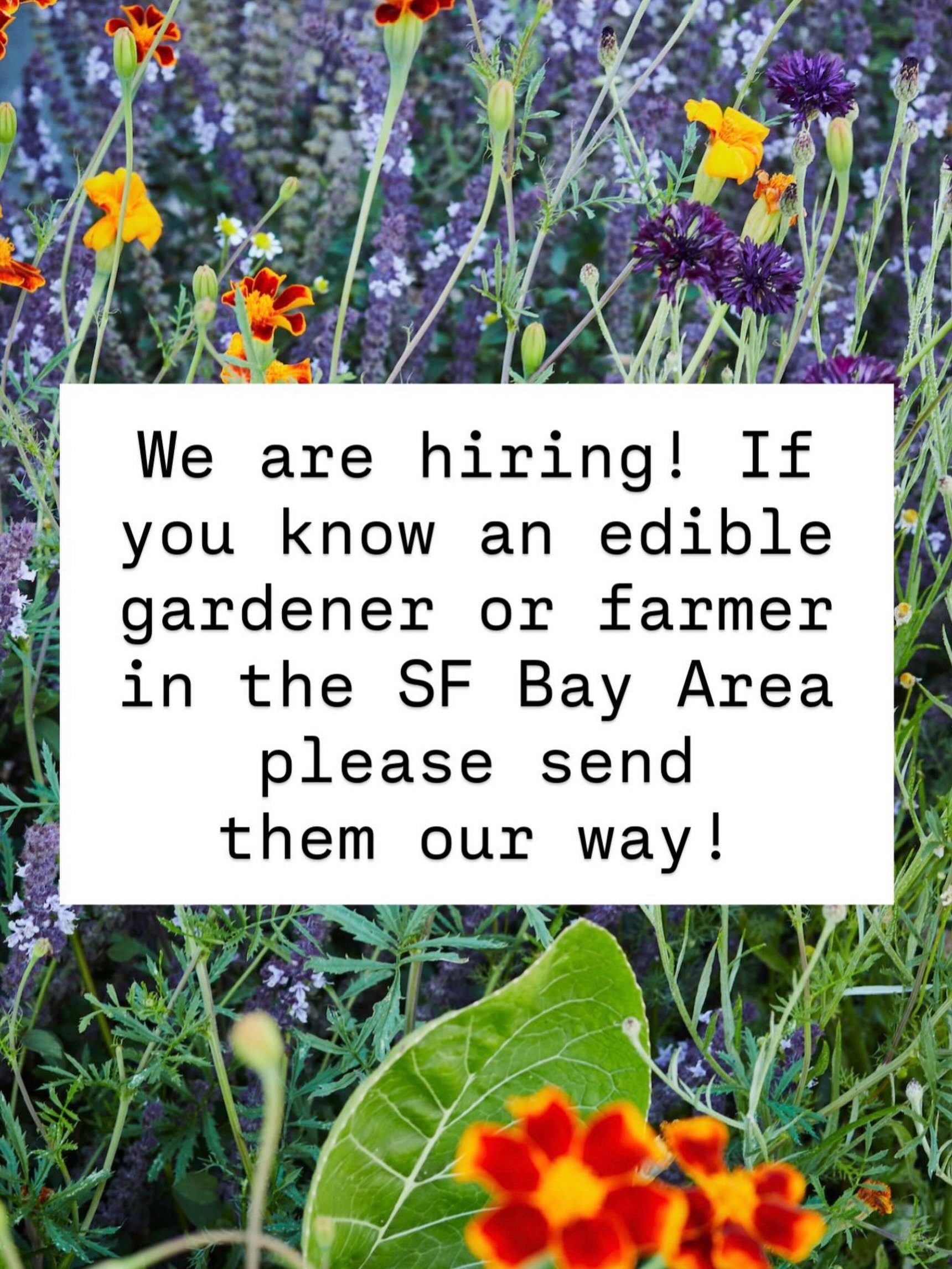 We are expanding our organic maintenance team! Looking for edible gardeners &amp; farmers in the SF Bay Area. To learn more, shoot us an email at hello@hdcgardens.com!