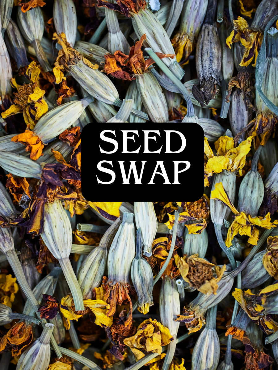 November 15 Free Community Seed Swap Soul Food Farms in Vacaville 10AM-1PM