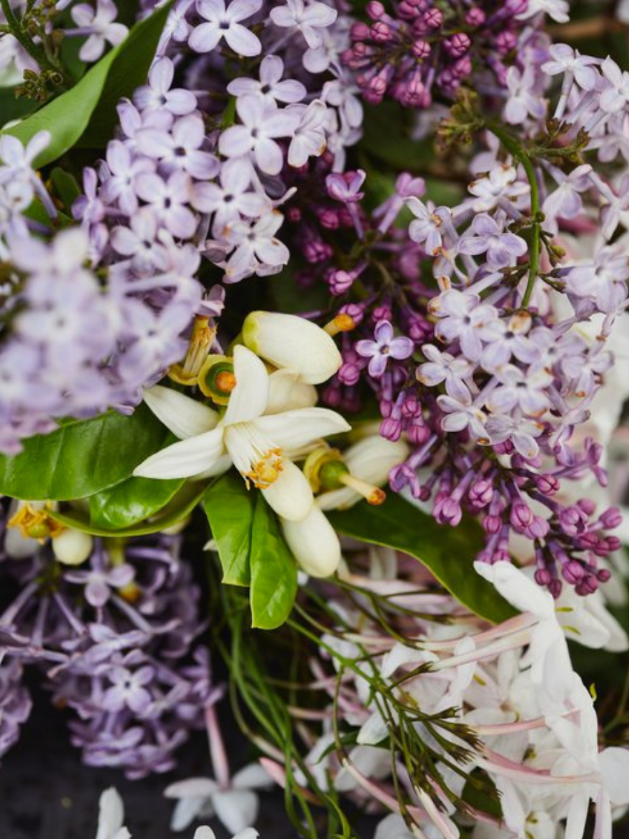Fragrant Garden Design Homestead Design Collective.png
