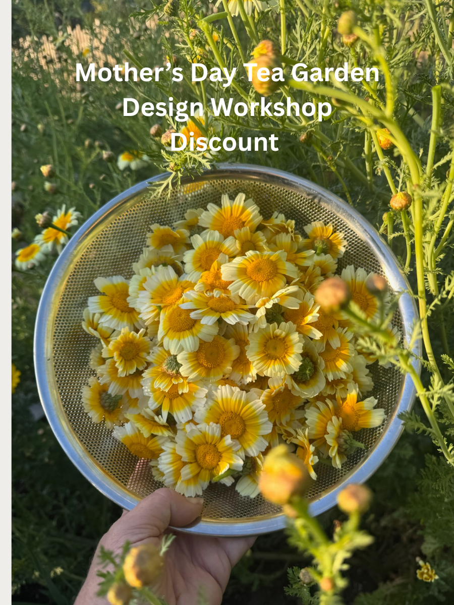 May 21, 2025  Tea Garden Design and Plants Workshop, Lafayette  Mother's Day Special