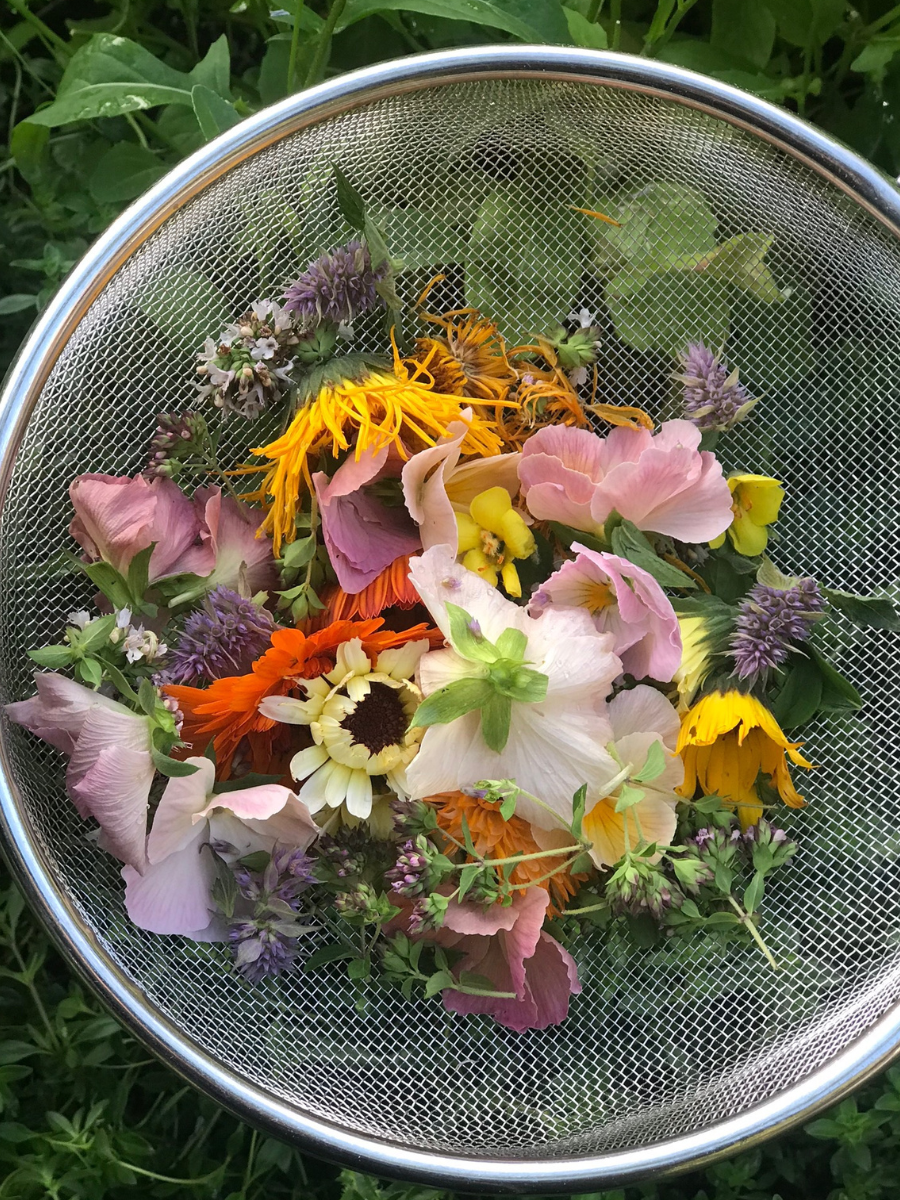 May 7, 2026  Edible Flower Workshop, Lafayette