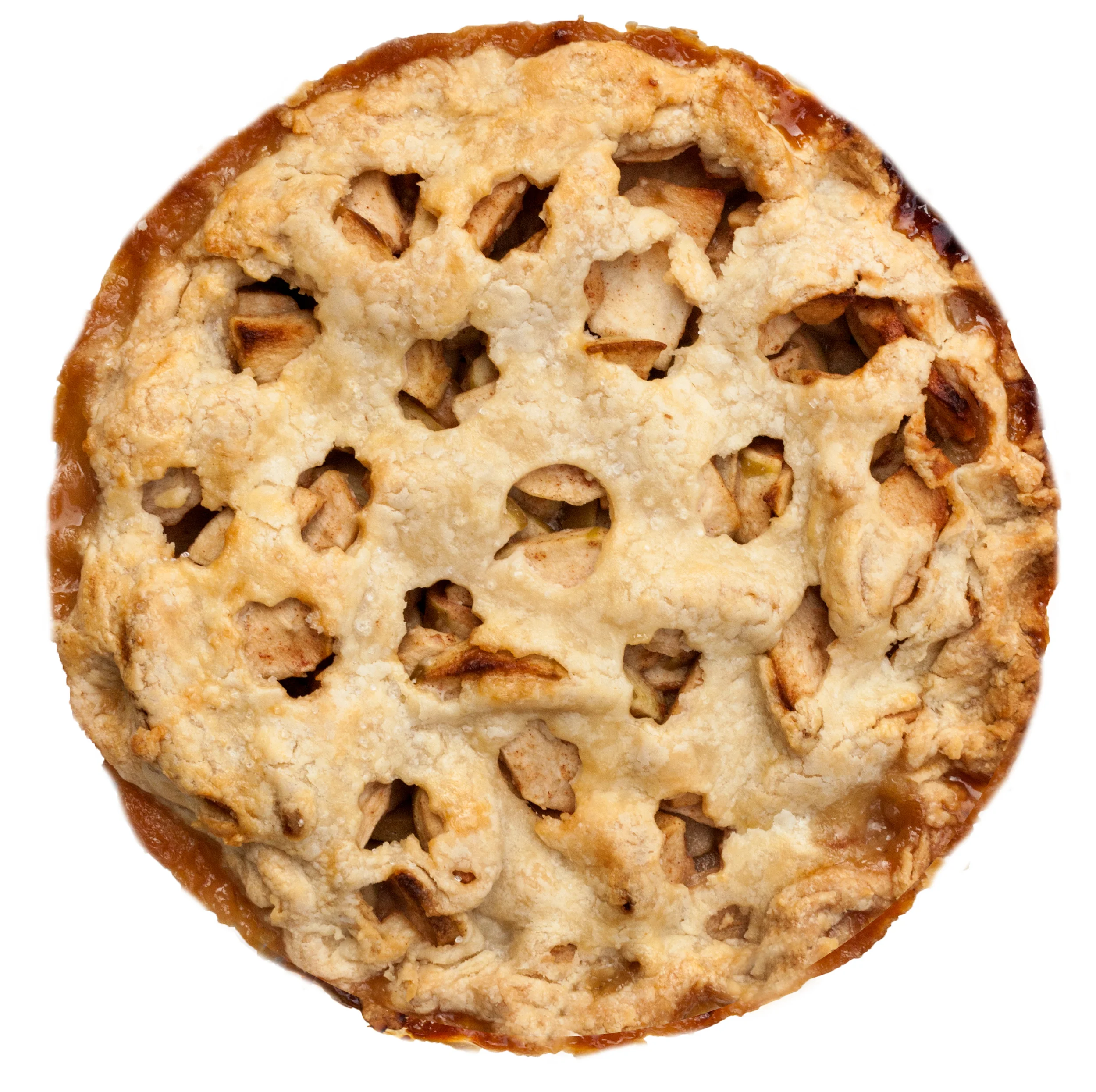 savory chicken pot pie