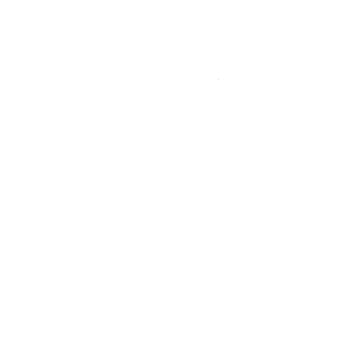 AIR S3000 Door