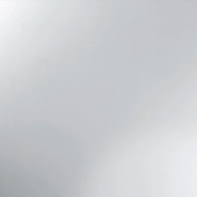 Panel: Mirror