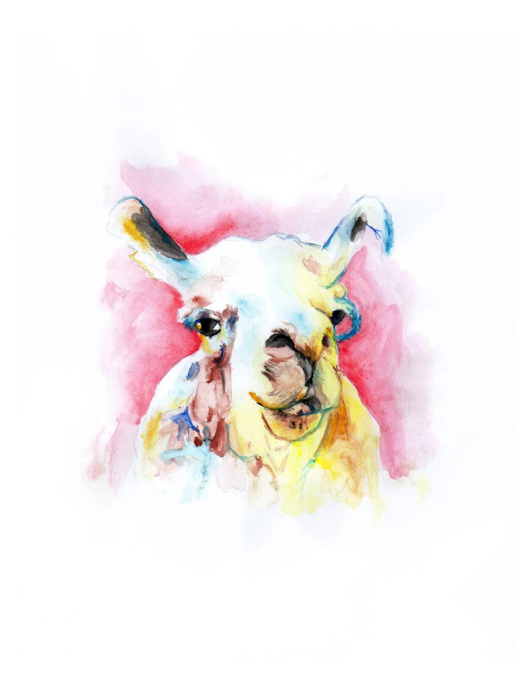 Llama_020918_sm.jpg