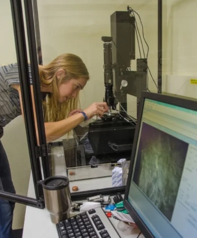 Former undergraduate mentee, Summer Webb, collecting data on the hardness and stiffness of the mantis shrimp exoskeleton using a nanoindentor materials testing machine. (Photo: Emily L. A. Kelly) 
