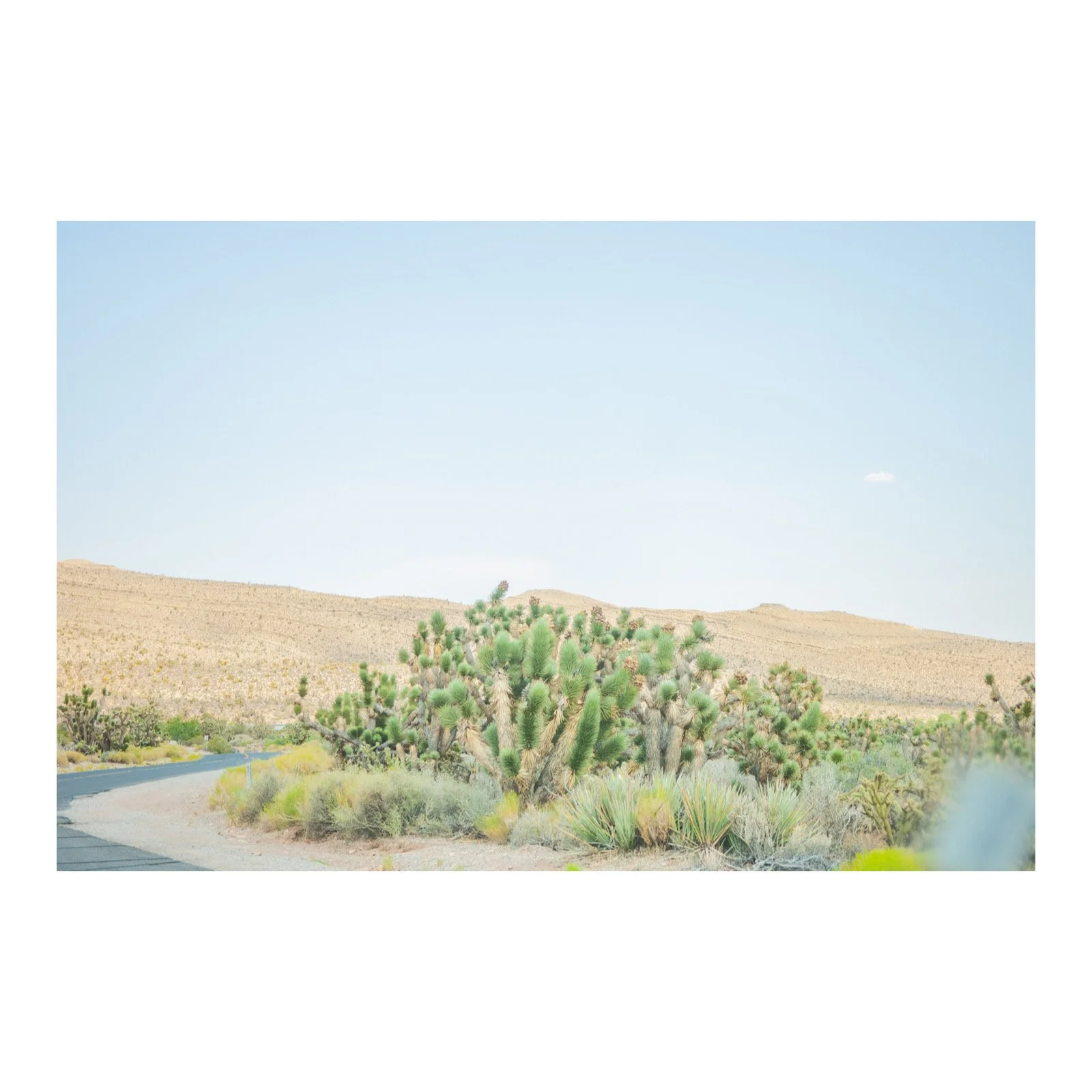 Whitagram-Image 16.JPG