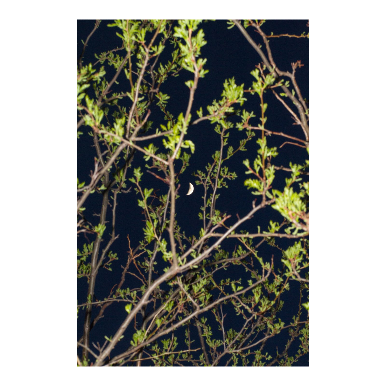 Whitagram-Image 22.JPG