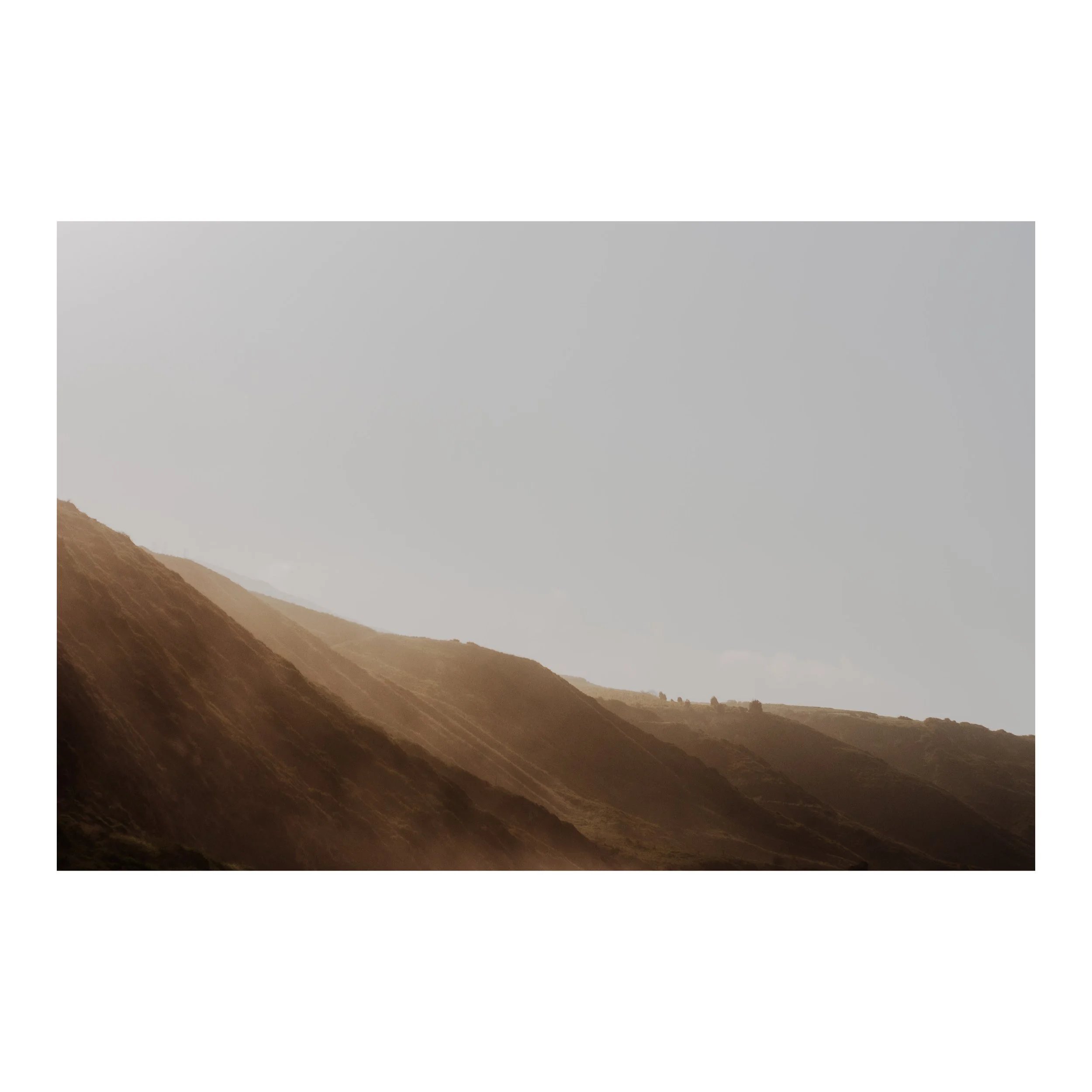 Whitagram-Image 34.JPG