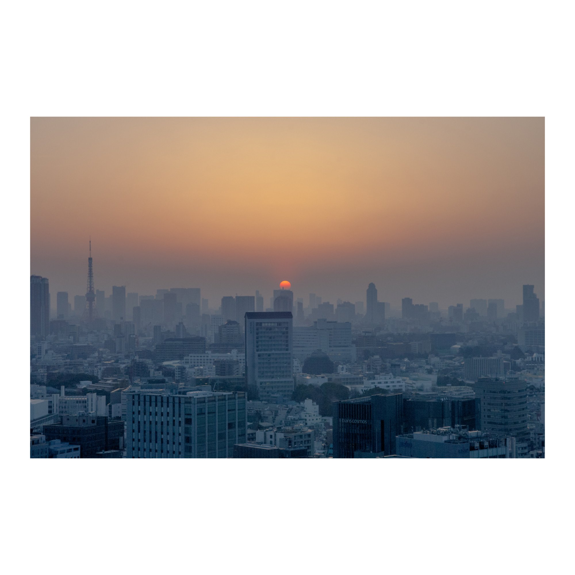 Whitagram-Image 35.JPG