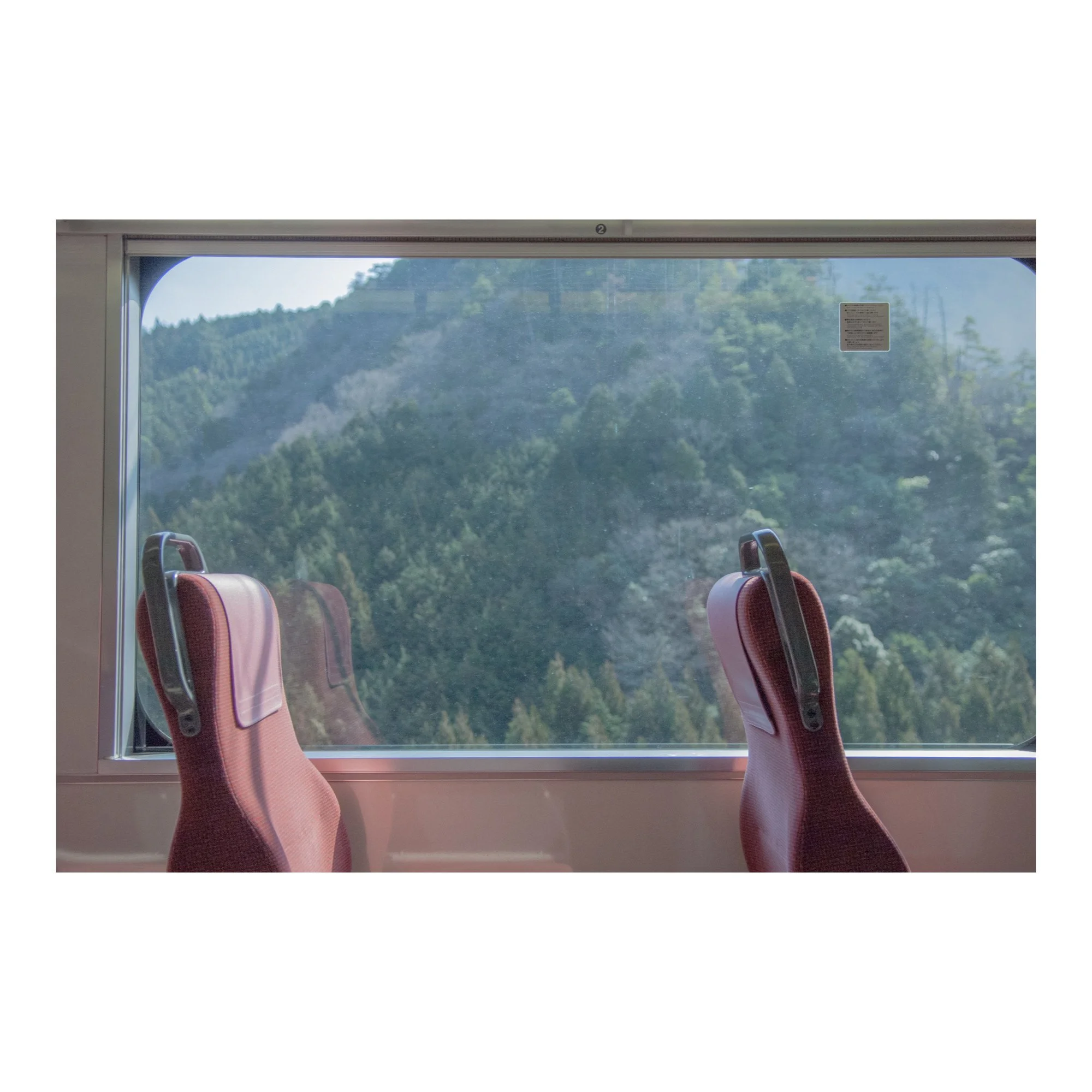 Whitagram-Image 37.JPG