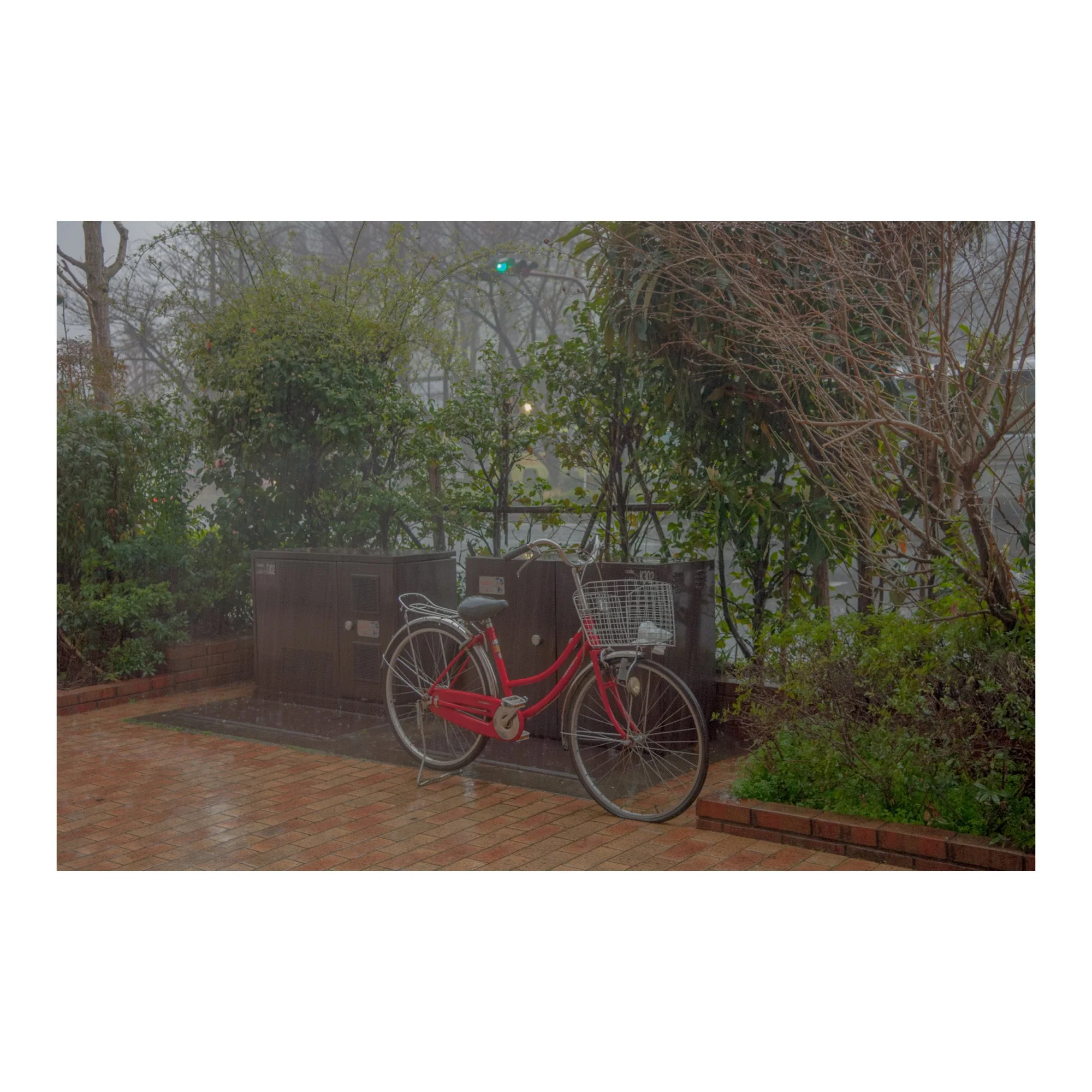 Whitagram-Image 38.JPG