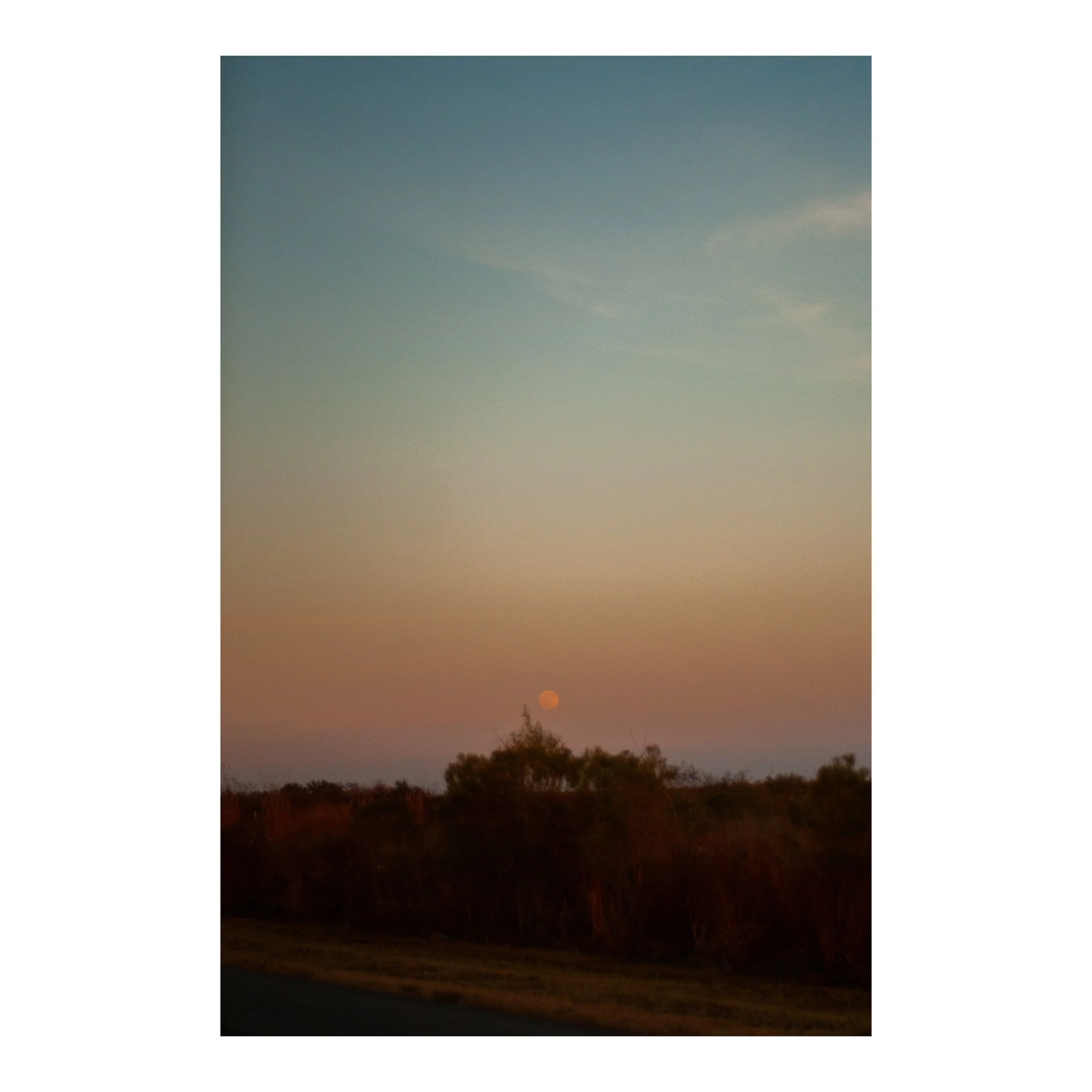 Whitagram-Image 39.JPG