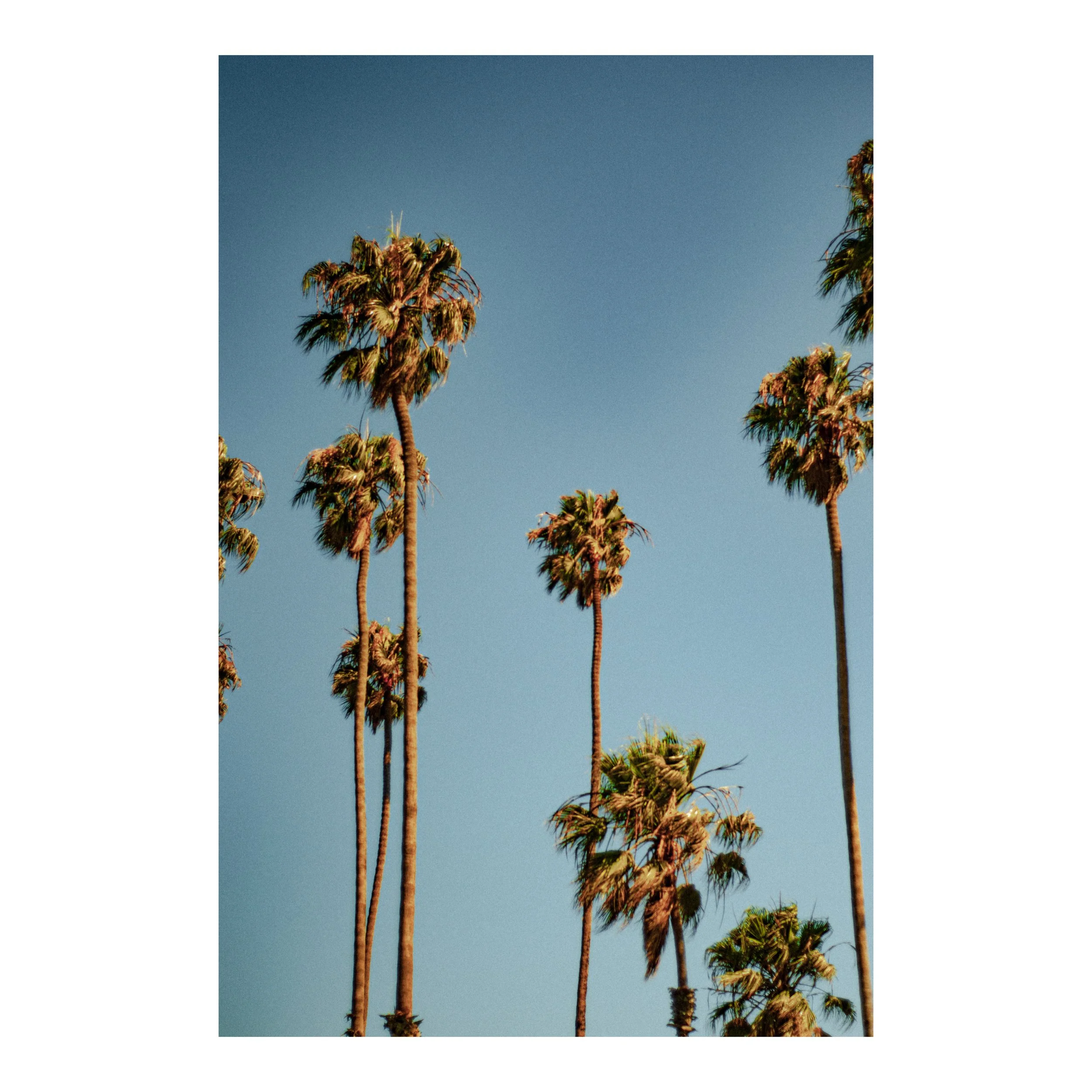 Whitagram-Image 45.JPG