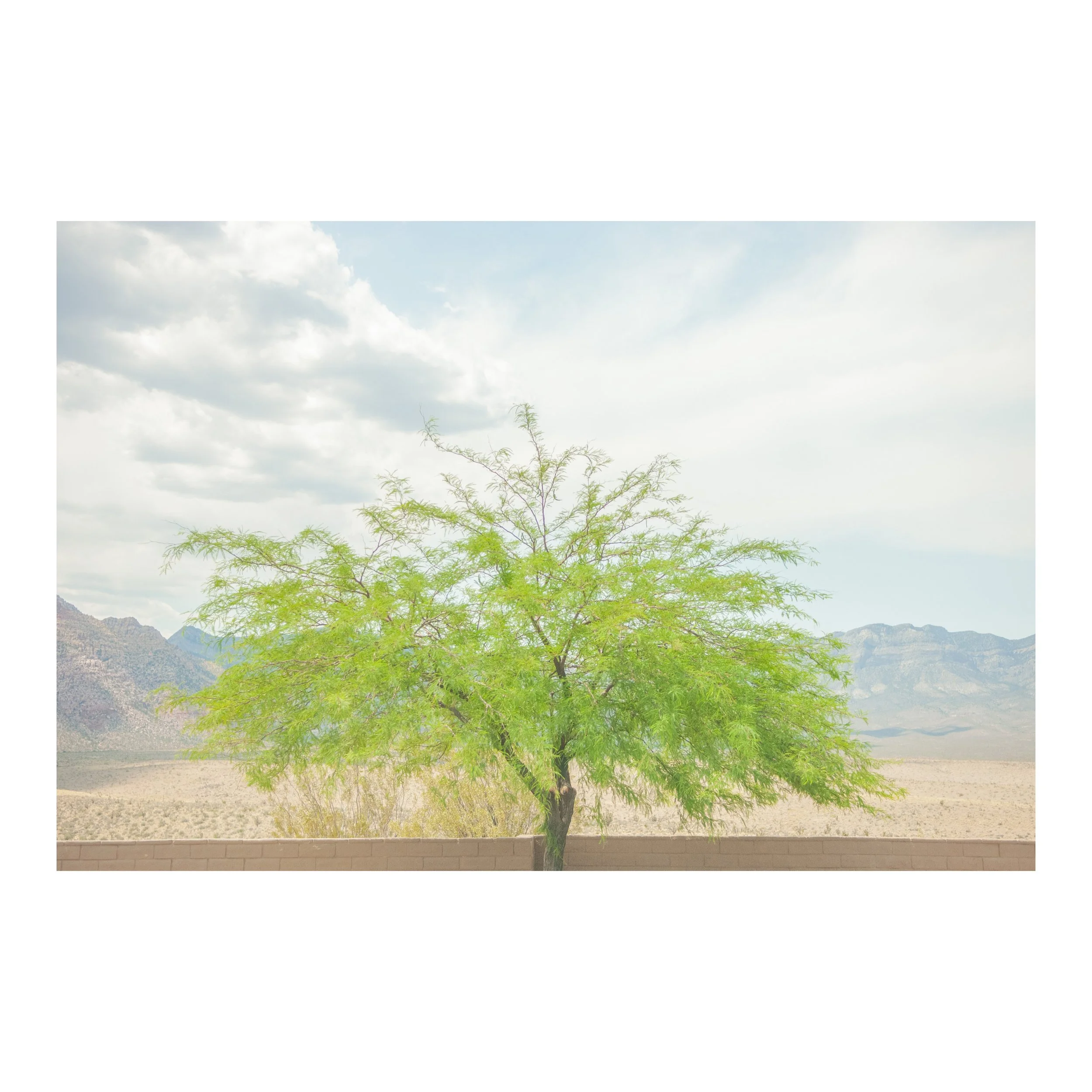 Whitagram-Image 55.JPG