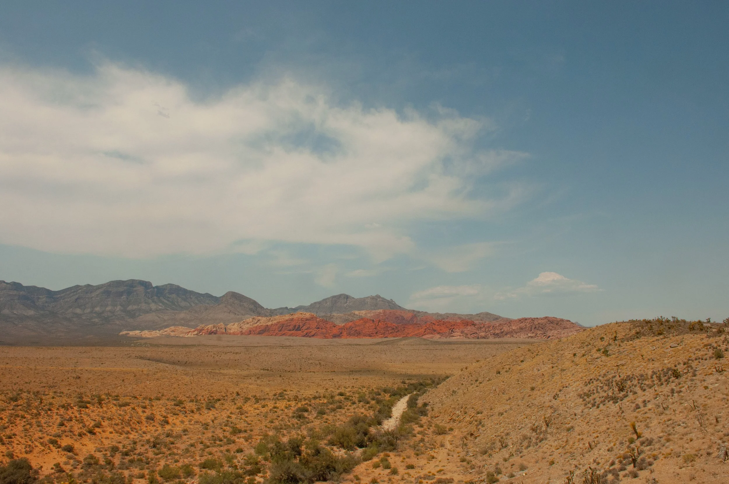 DSC_0161.jpg