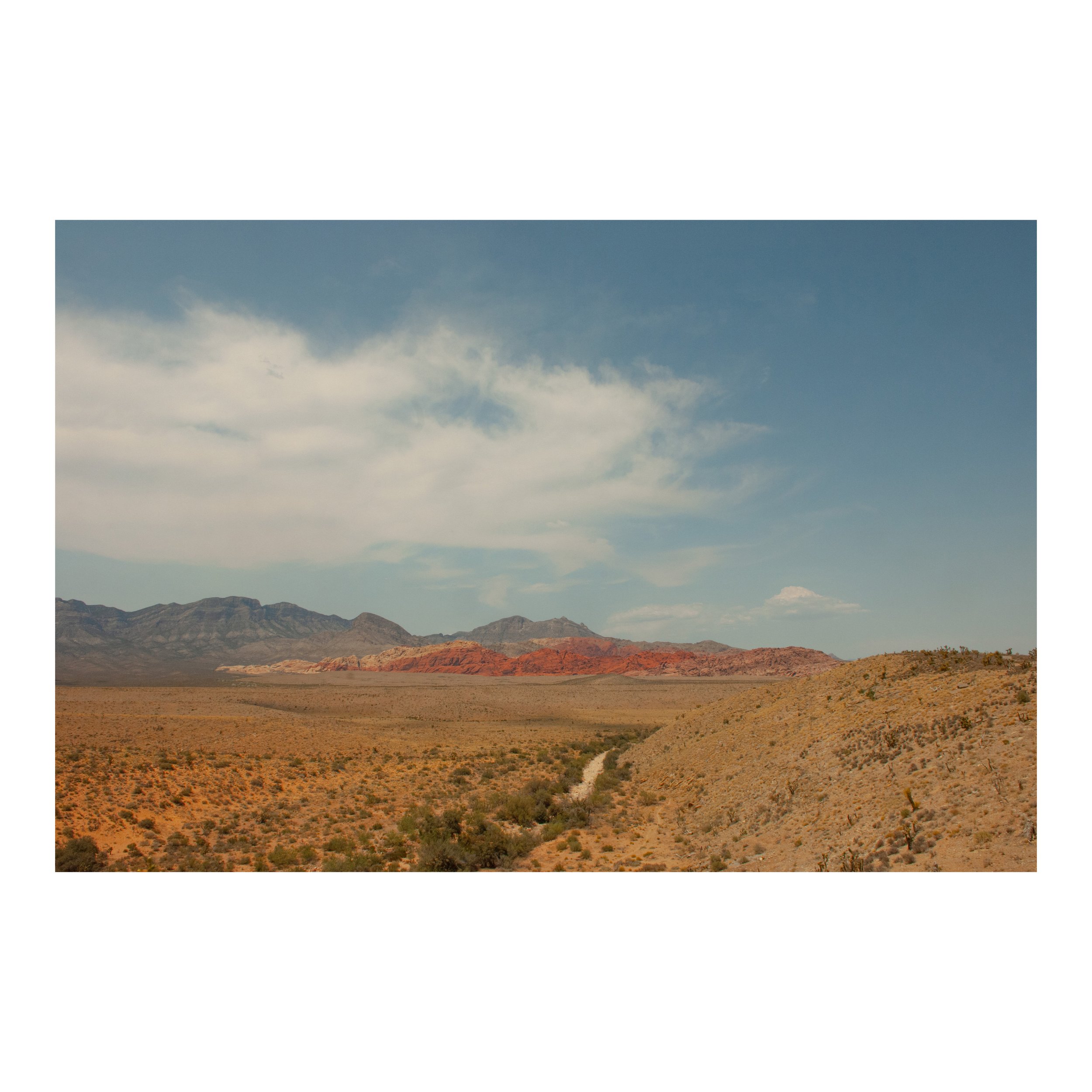 Whitagram-Image 56.JPG