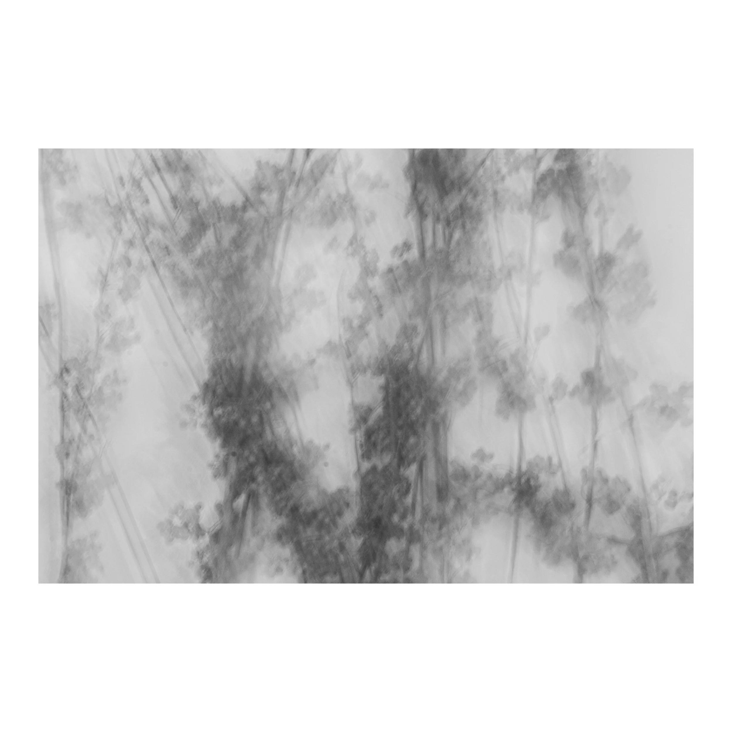 Whitagram-Image 63.JPG